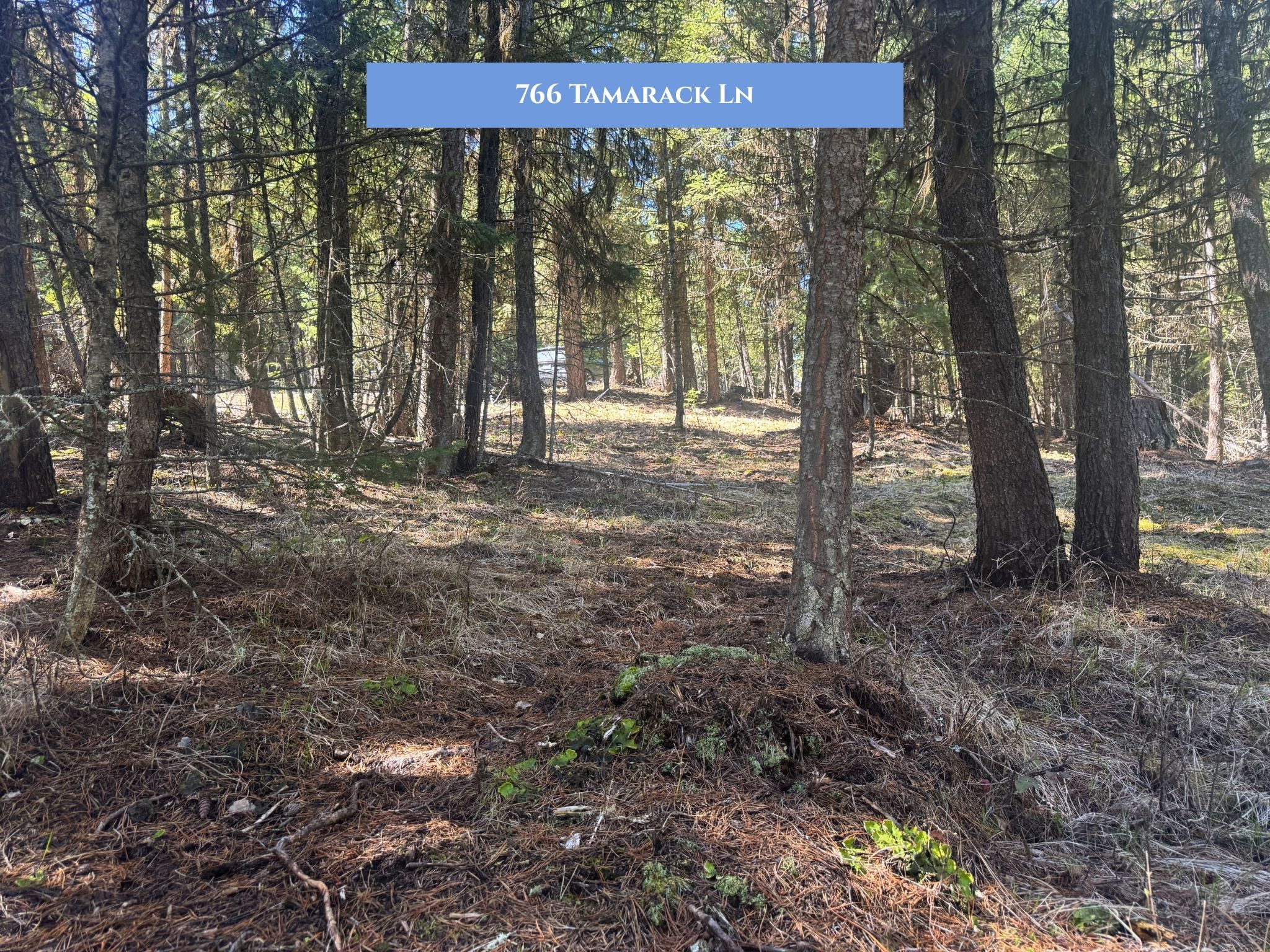 766 Tamarack Lane Property Photo 40