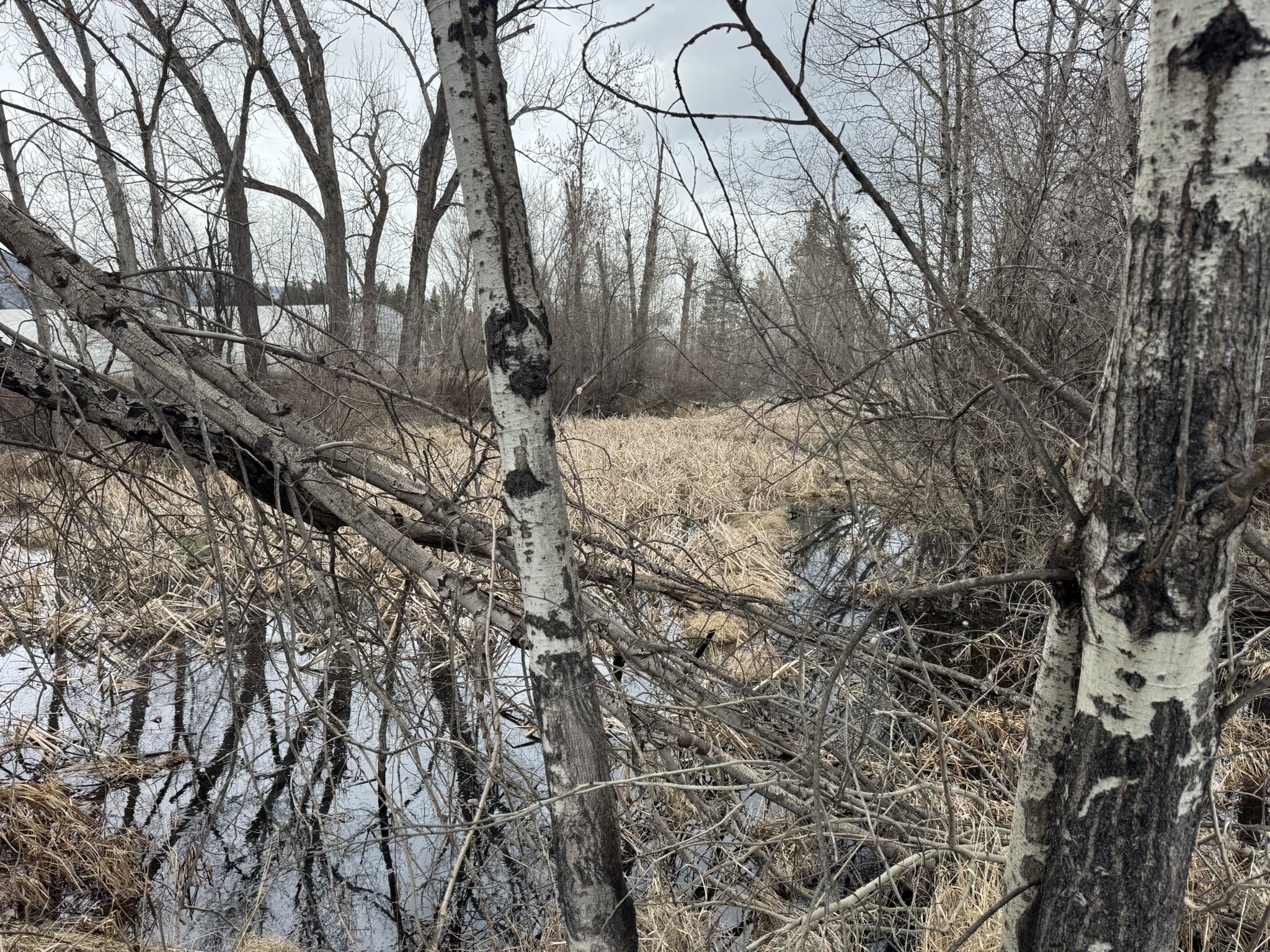 Nhn Two Moons Road Property Photo 2
