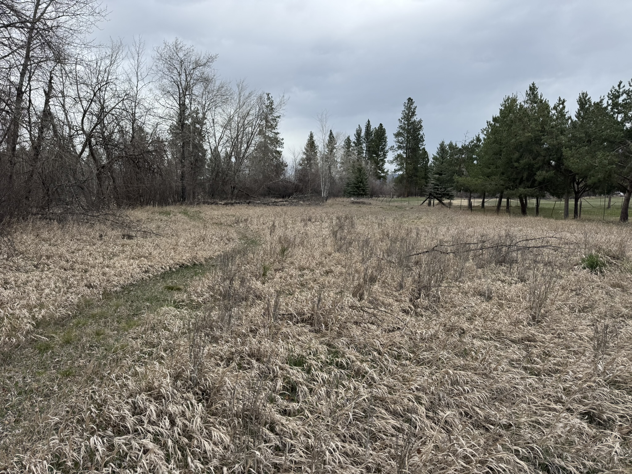 Nhn Two Moons Road Property Photo 3
