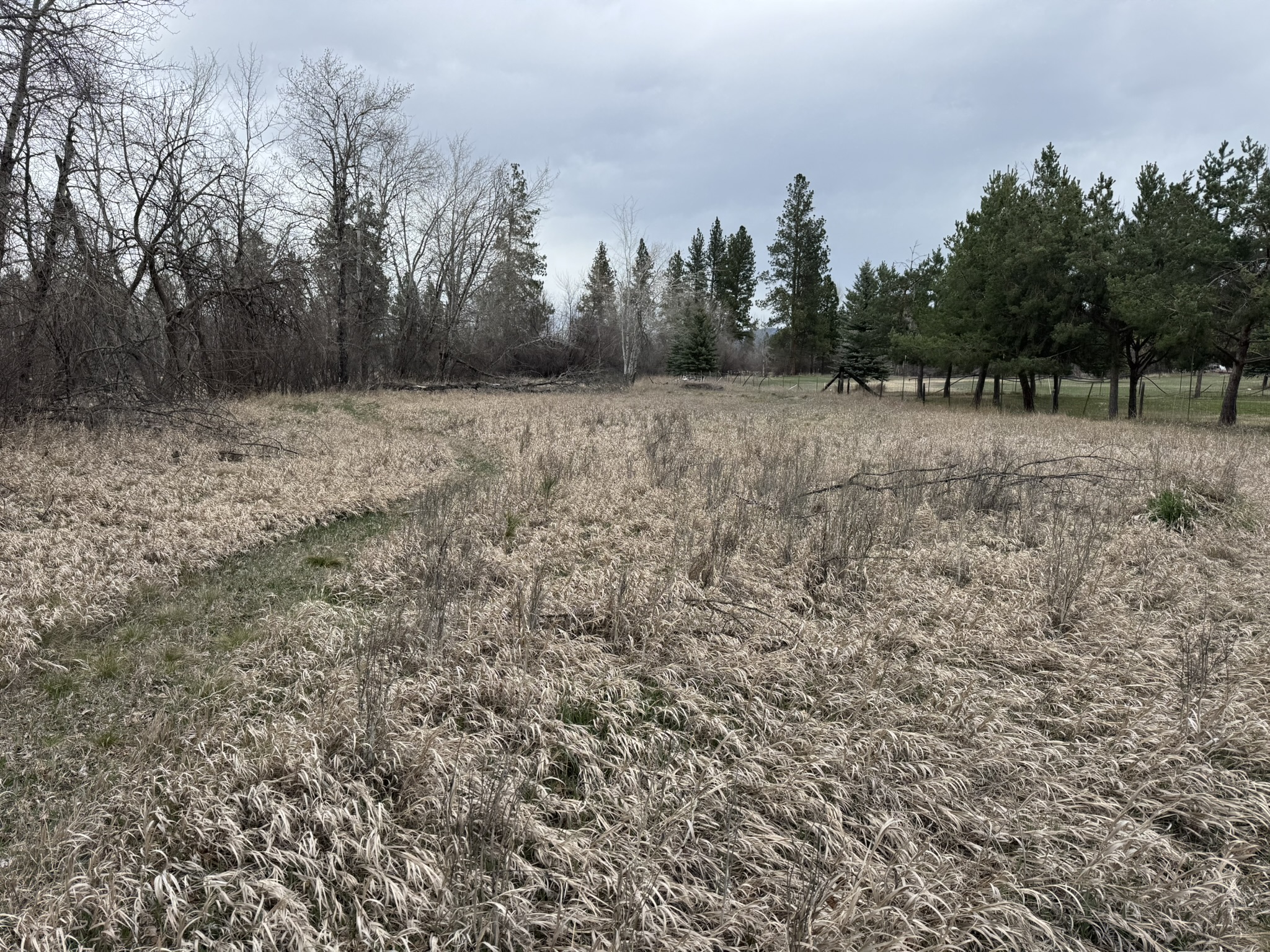 Nhn Two Moons Road Property Photo 4