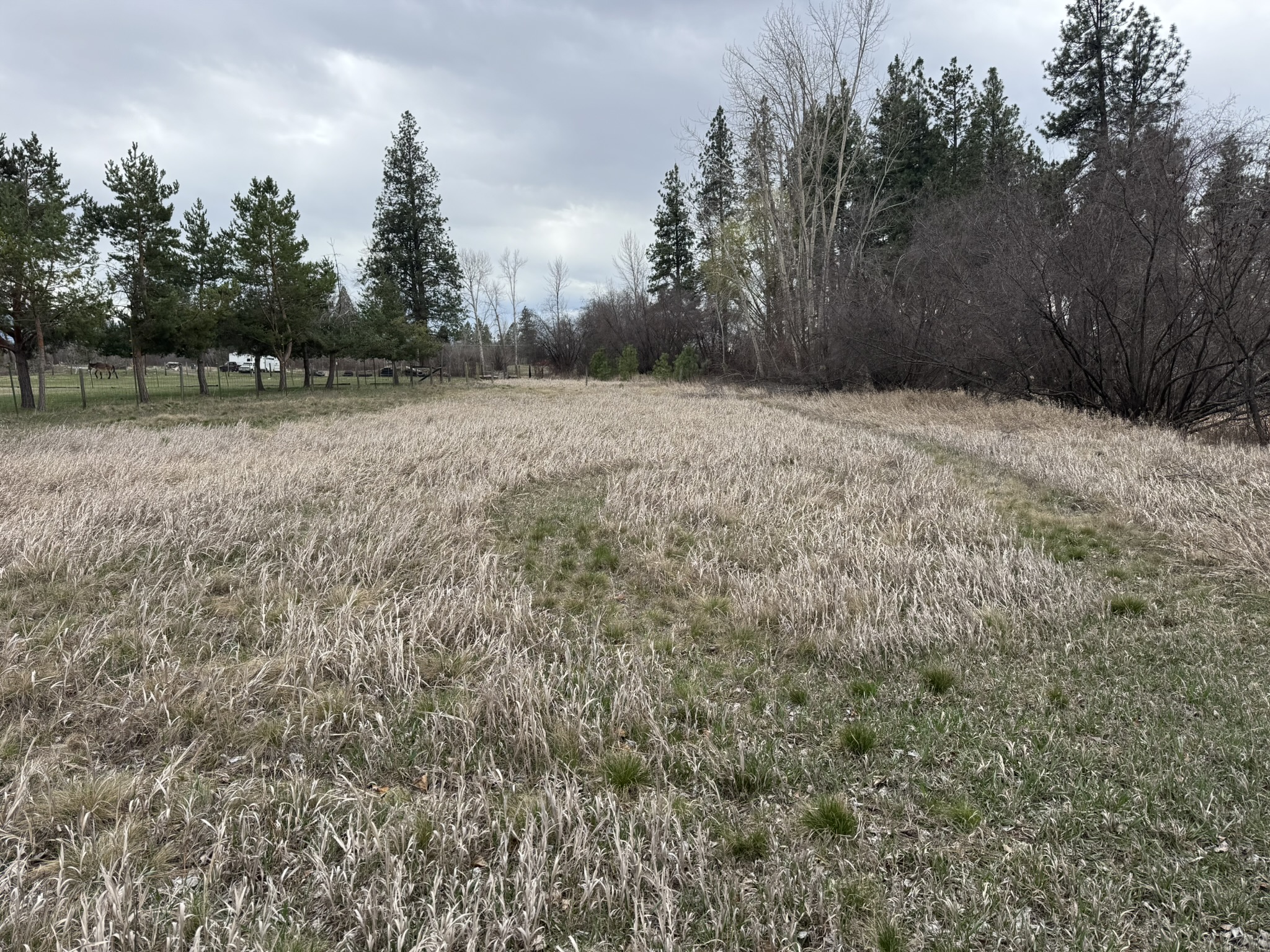 Nhn Two Moons Road Property Photo 5