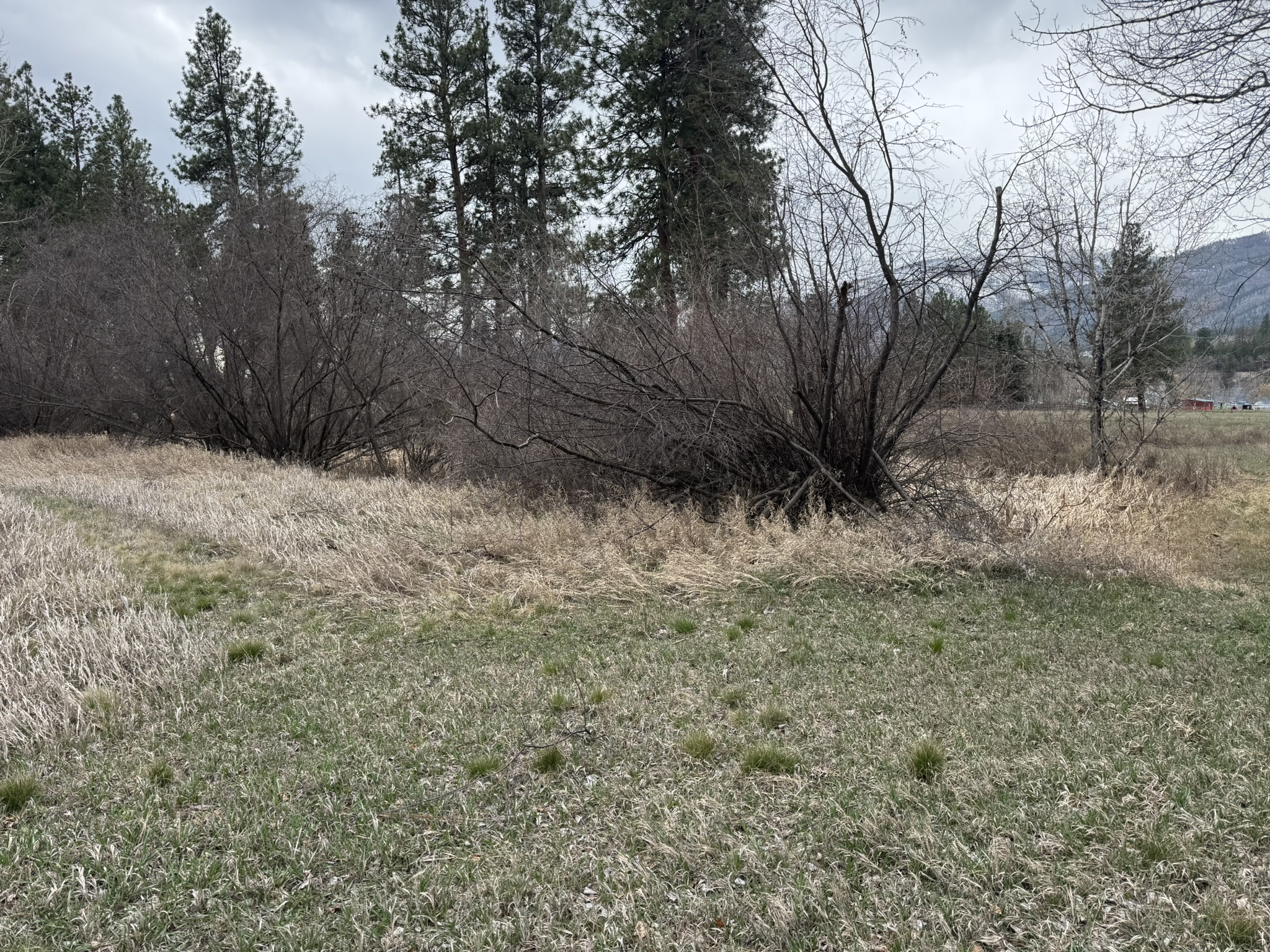 Nhn Two Moons Road Property Photo 6