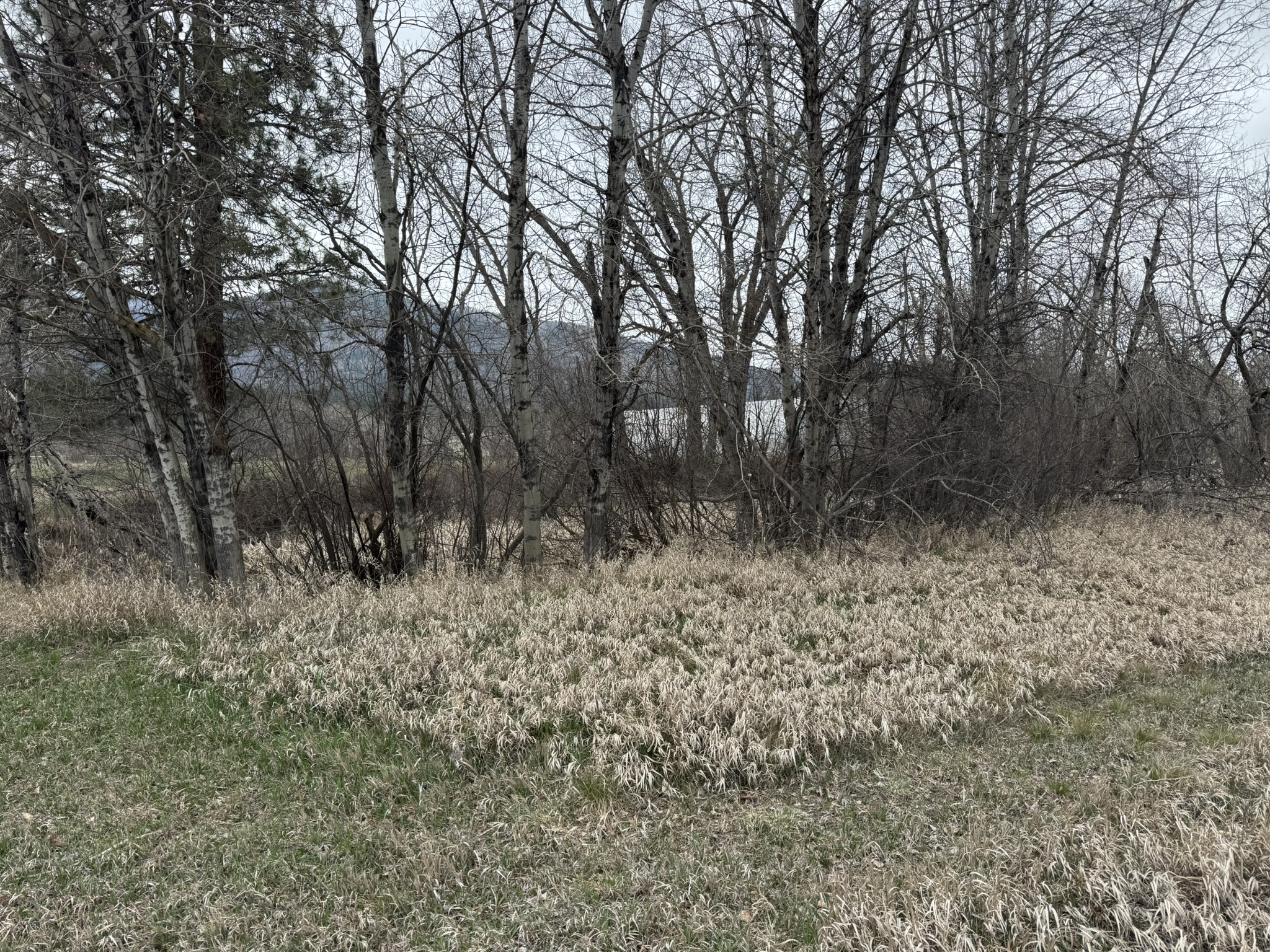 Nhn Two Moons Road Property Photo 7
