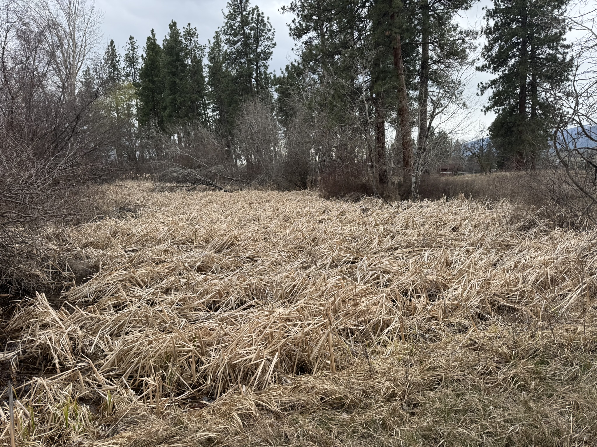 Nhn Two Moons Road Property Photo 8