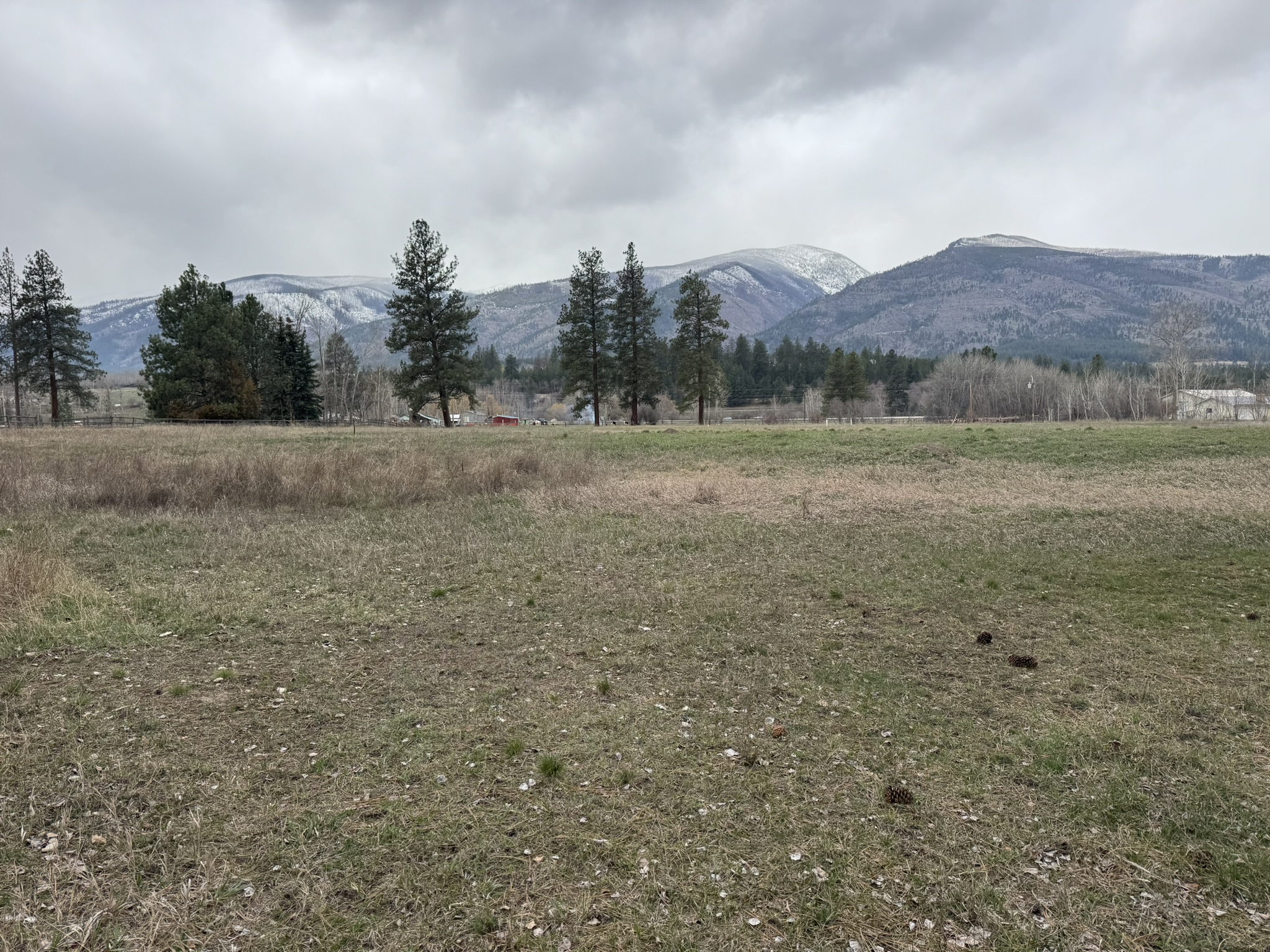 Nhn Two Moons Road Property Photo 10