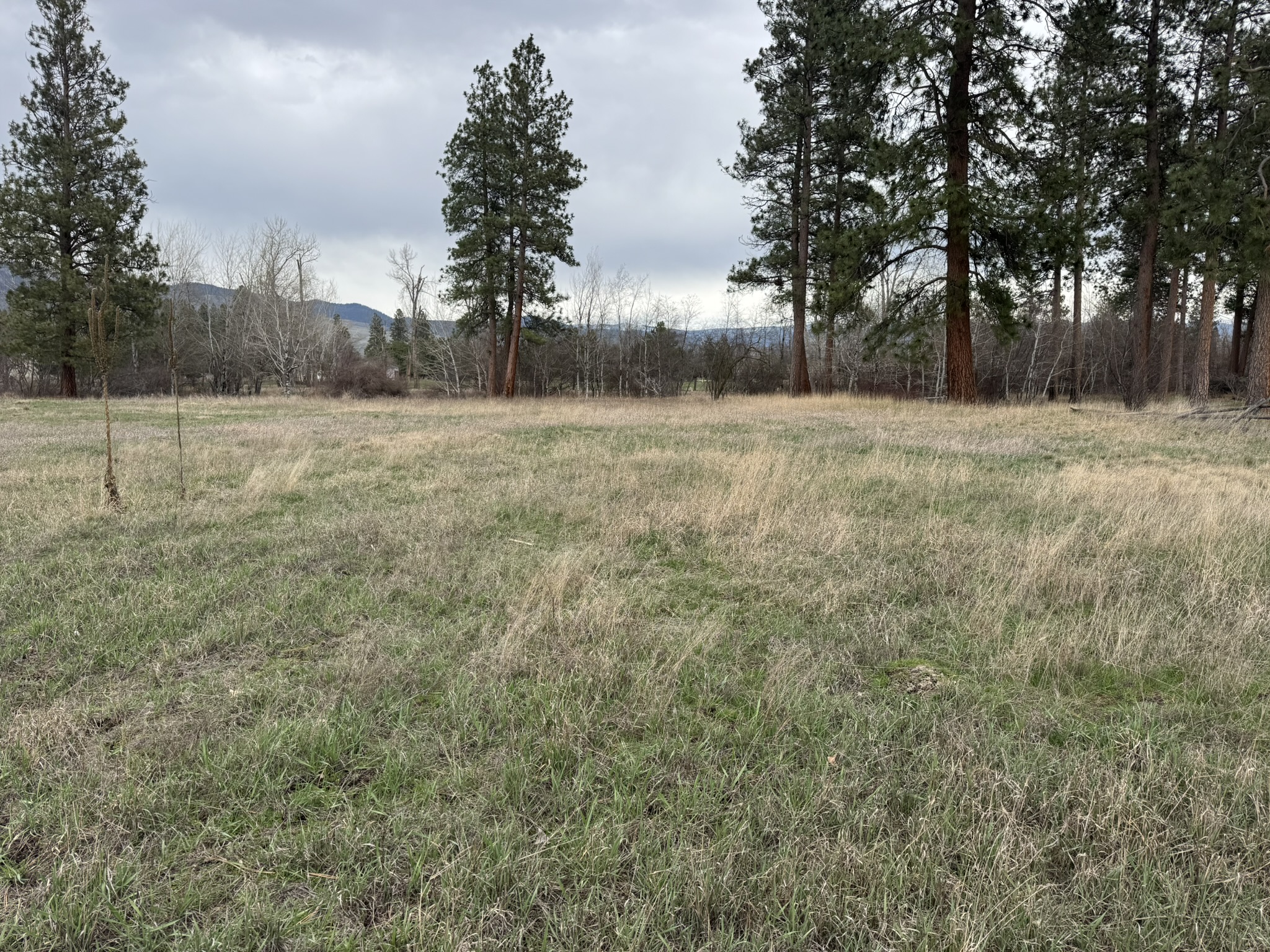 Nhn Two Moons Road Property Photo 13