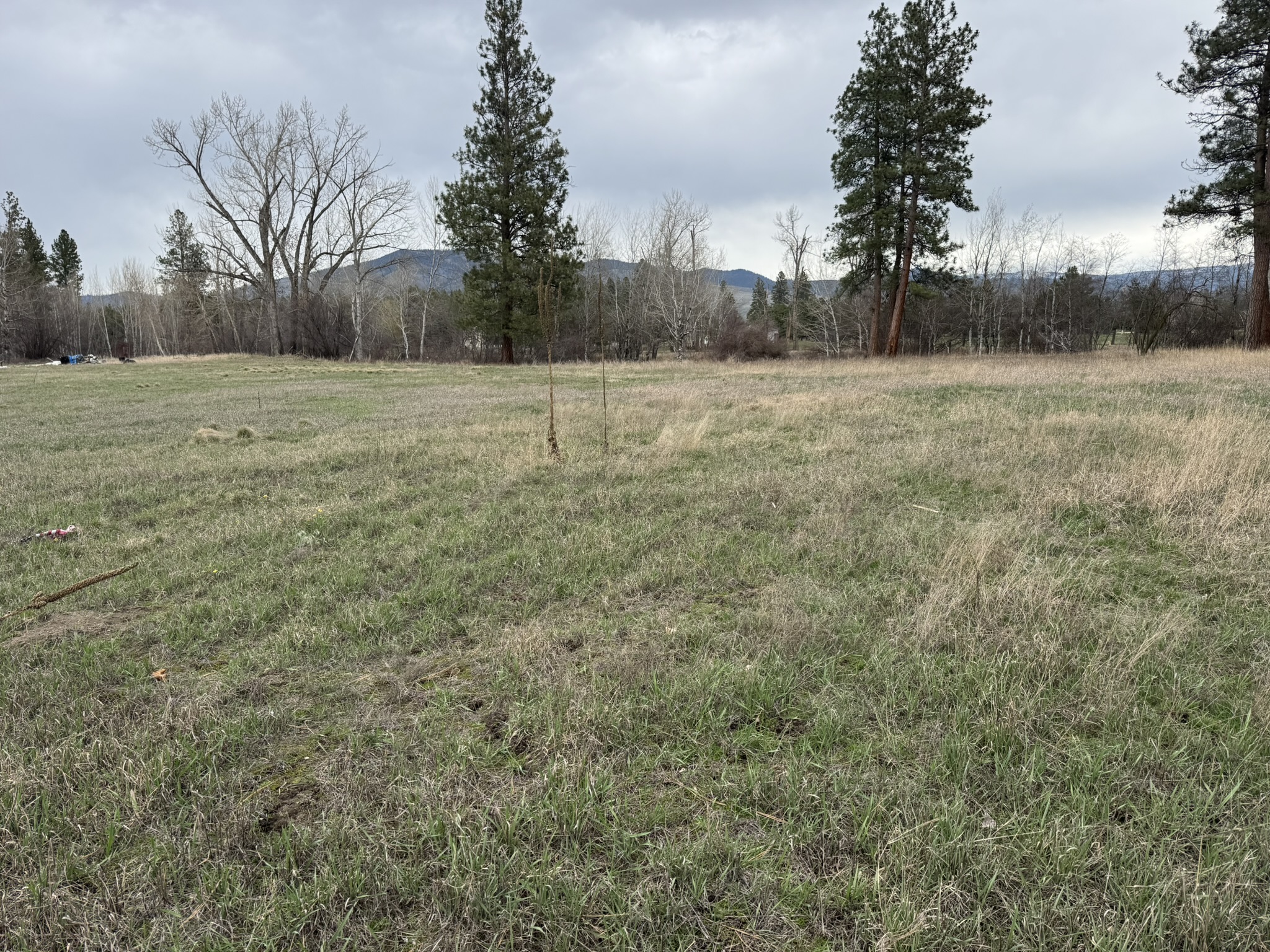 Nhn Two Moons Road Property Photo 14