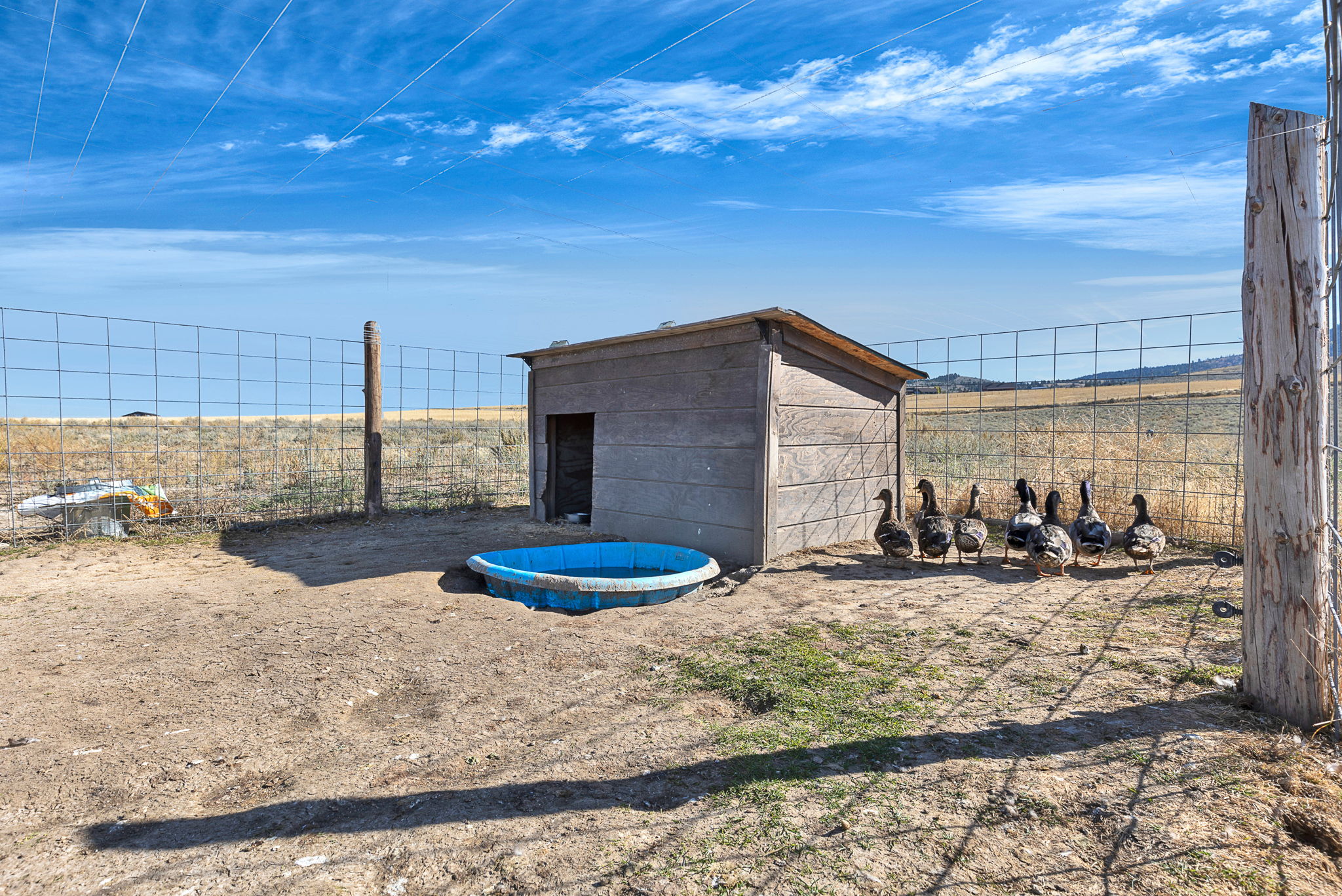 561 Double D Road Property Photo 37