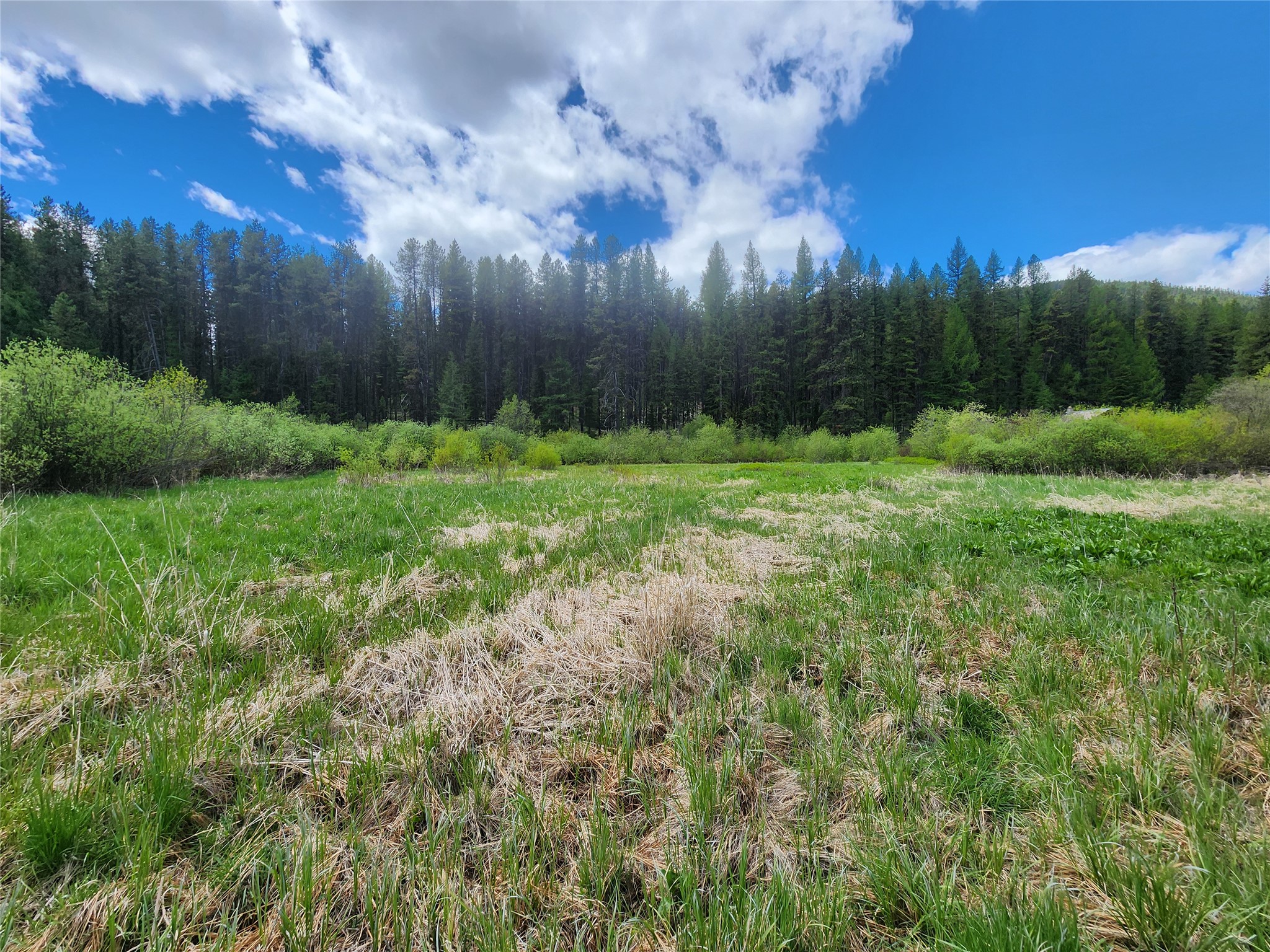 Nhn N Fork Yaak Road Property Photo 3