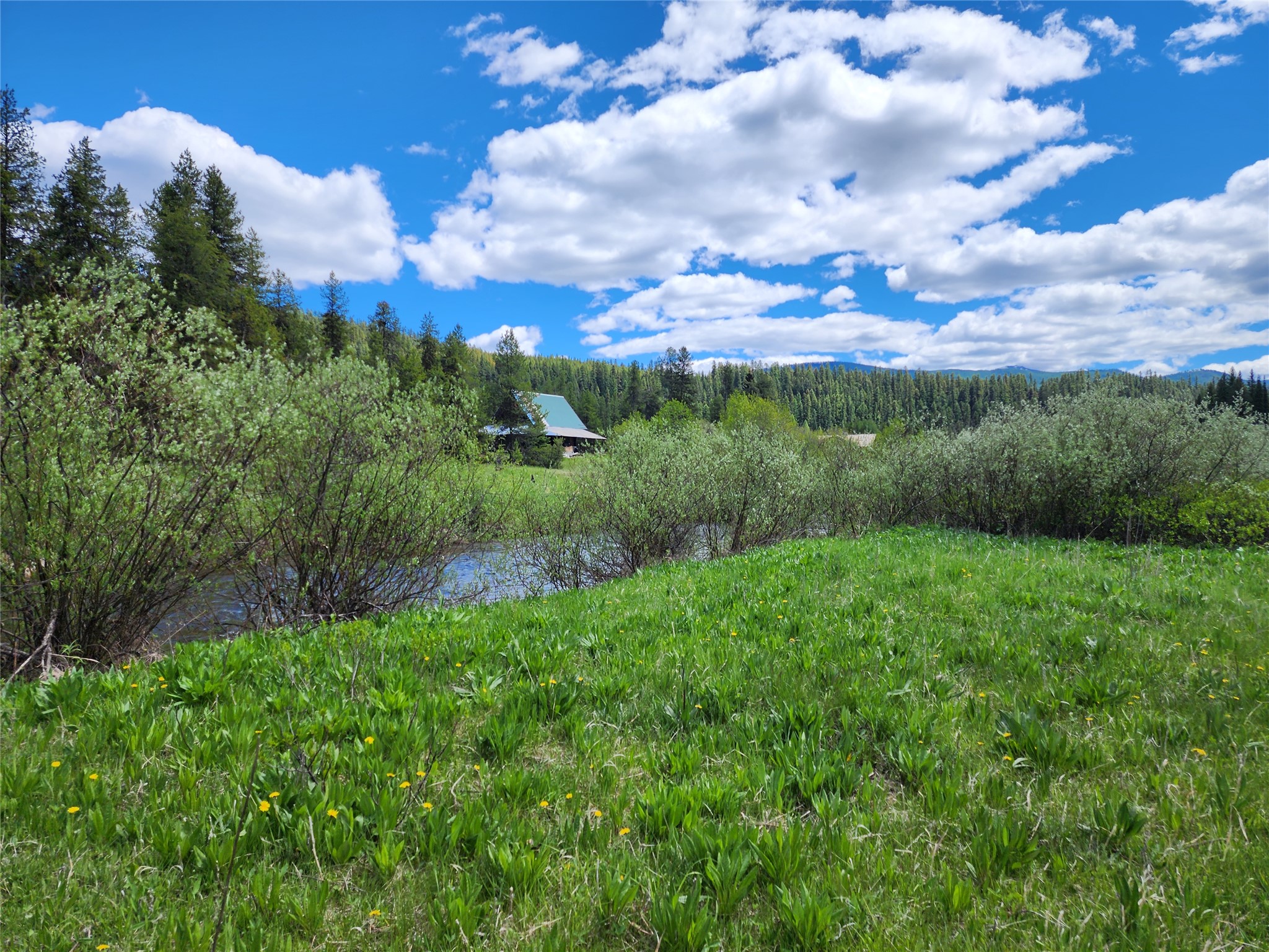 Nhn N Fork Yaak Road Property Photo 4