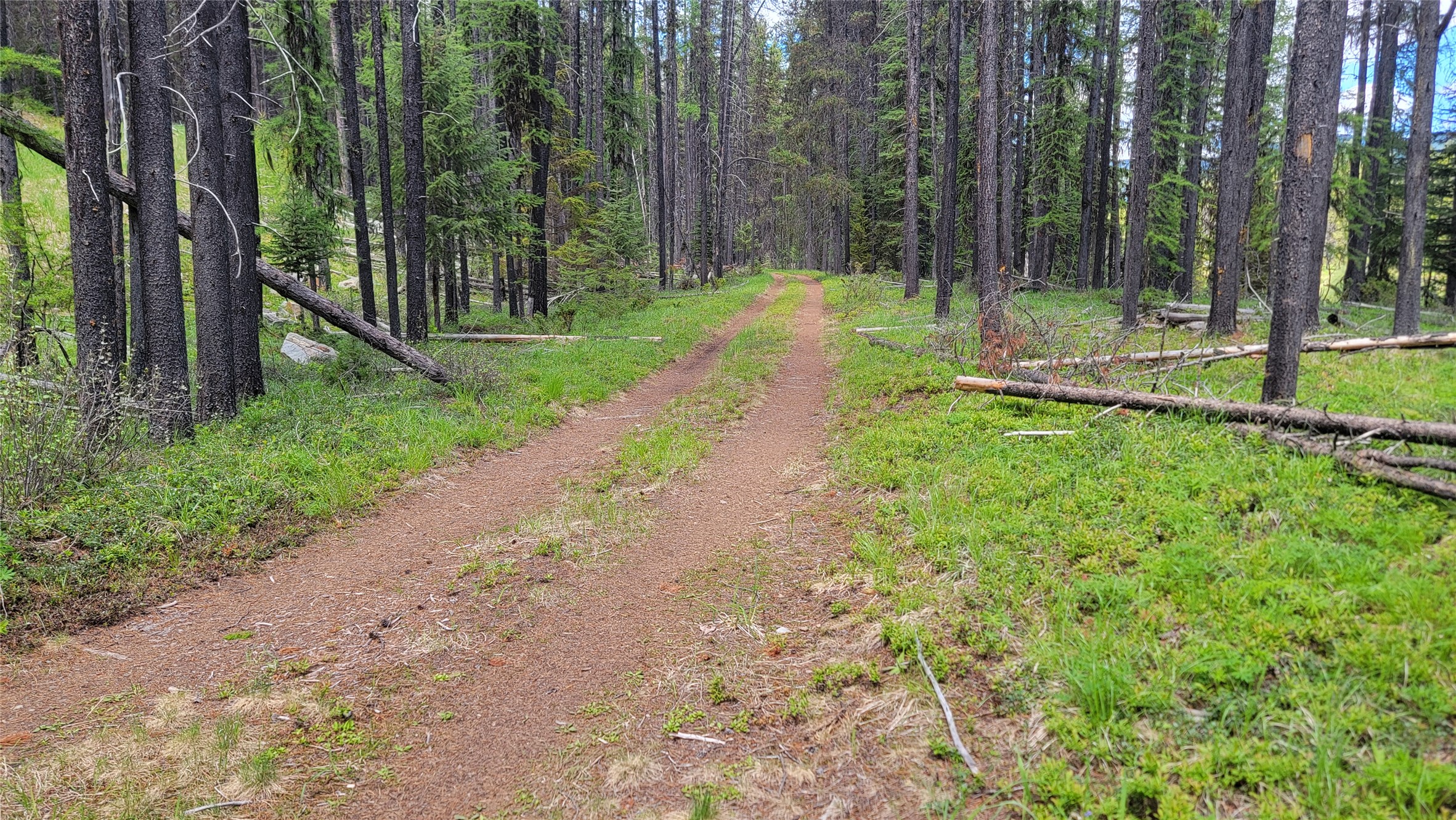 Nhn N Fork Yaak Road Property Photo 5