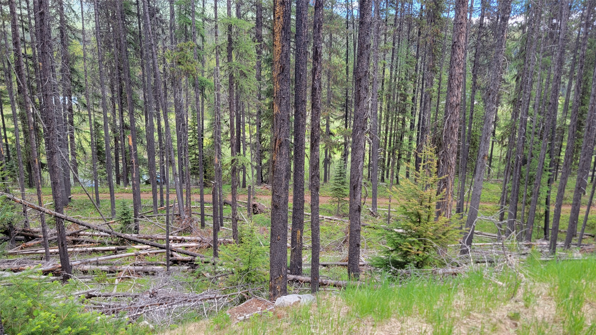 Nhn N Fork Yaak Road Property Photo 6