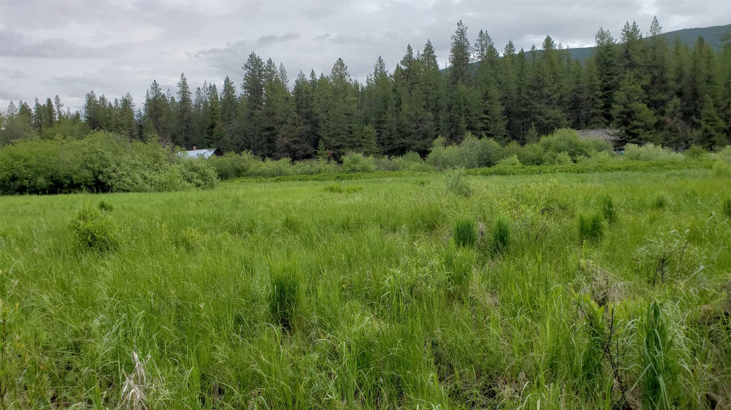Nhn N Fork Yaak Road Property Photo 7
