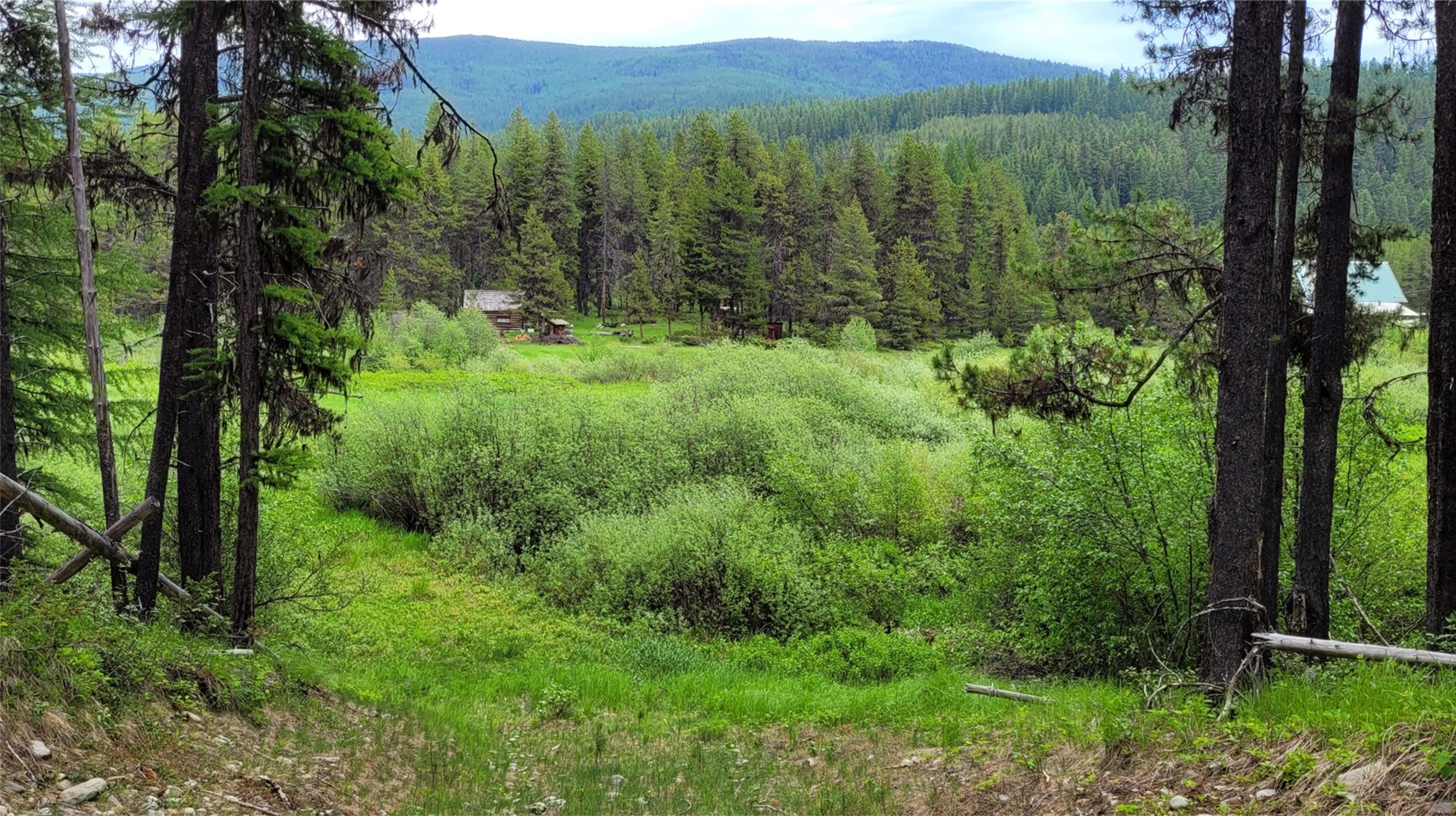 Nhn N Fork Yaak Road Property Photo 9