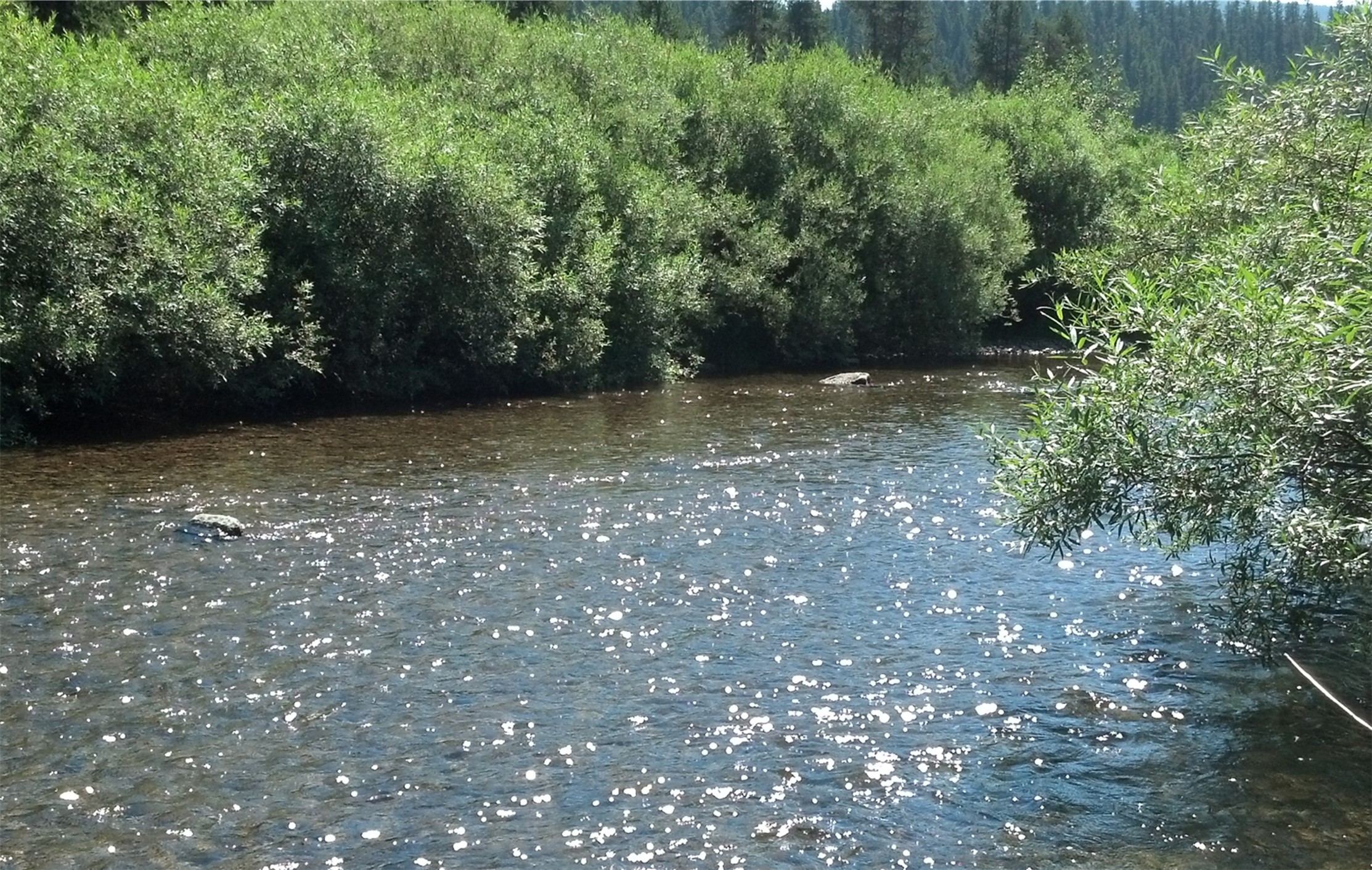 Nhn N Fork Yaak Road Property Photo 11