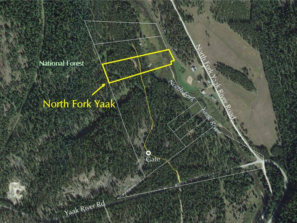 Nhn N Fork Yaak Road Property Photo 17