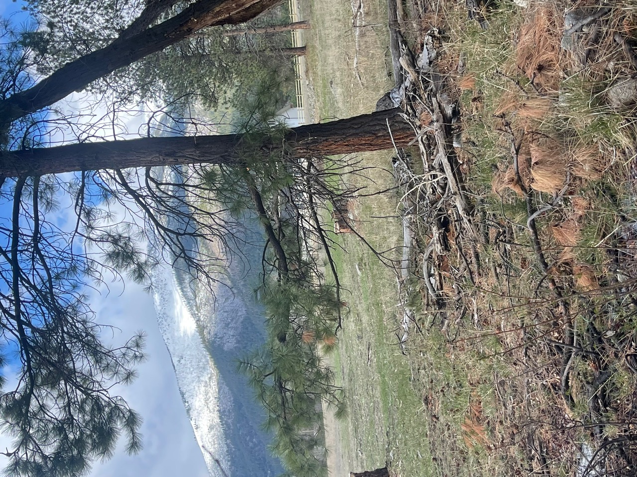 508 Great Wolf Way Property Photo 5