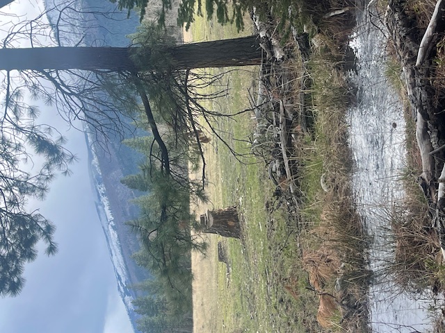 508 Great Wolf Way Property Photo 8