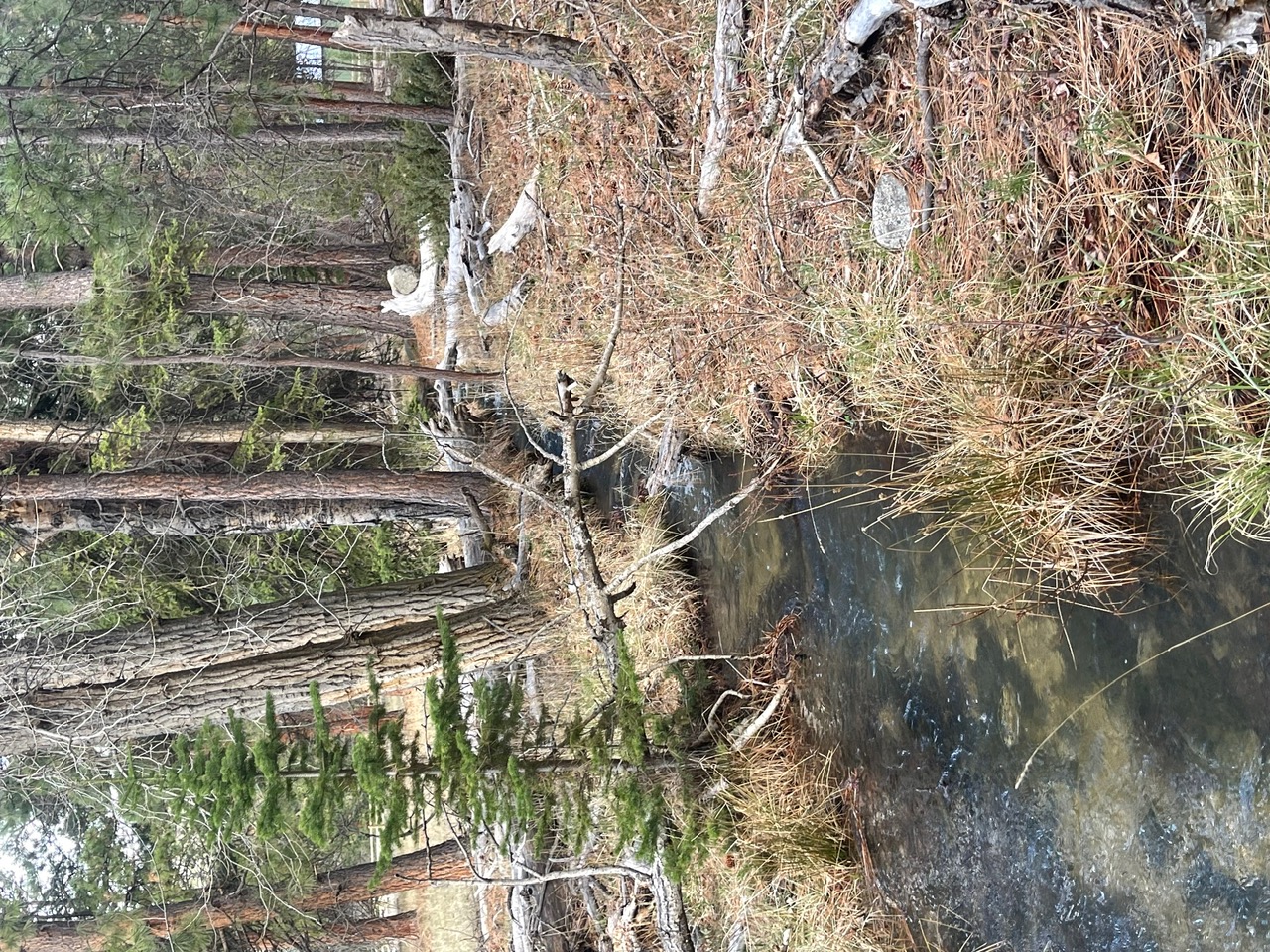 508 Great Wolf Way Property Photo 14