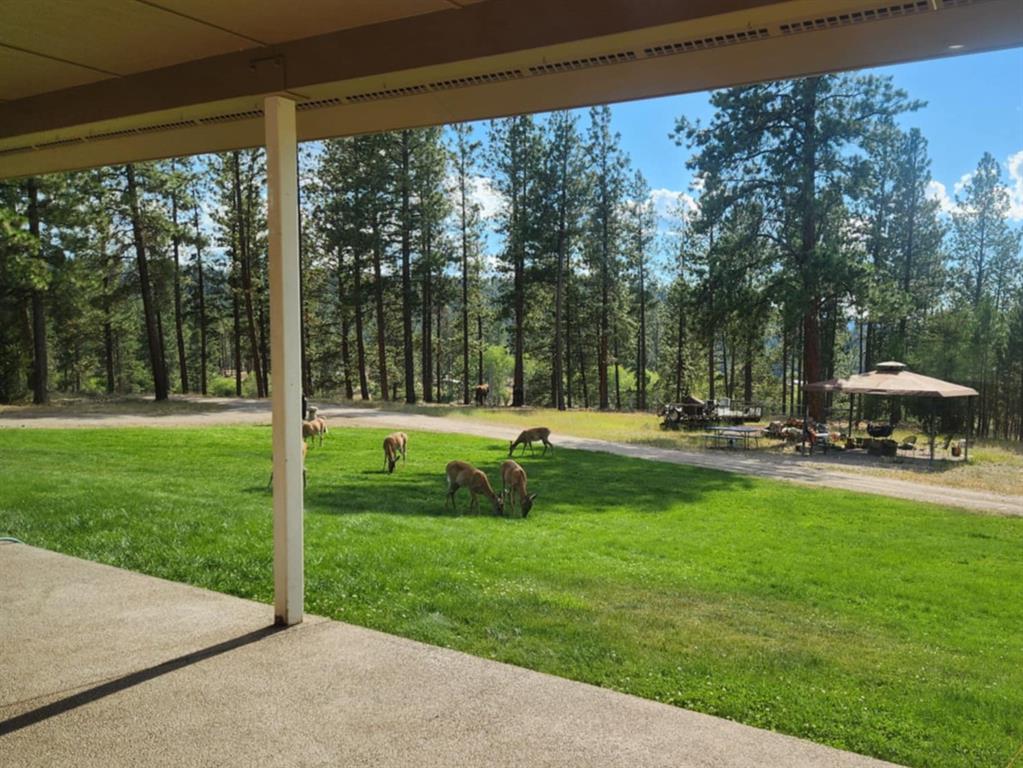 35322 Washoe Road Property Photo 34