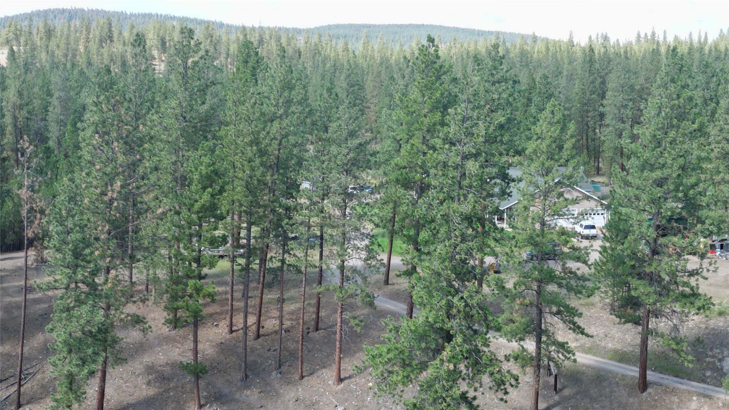 35322 Washoe Road Property Photo 42