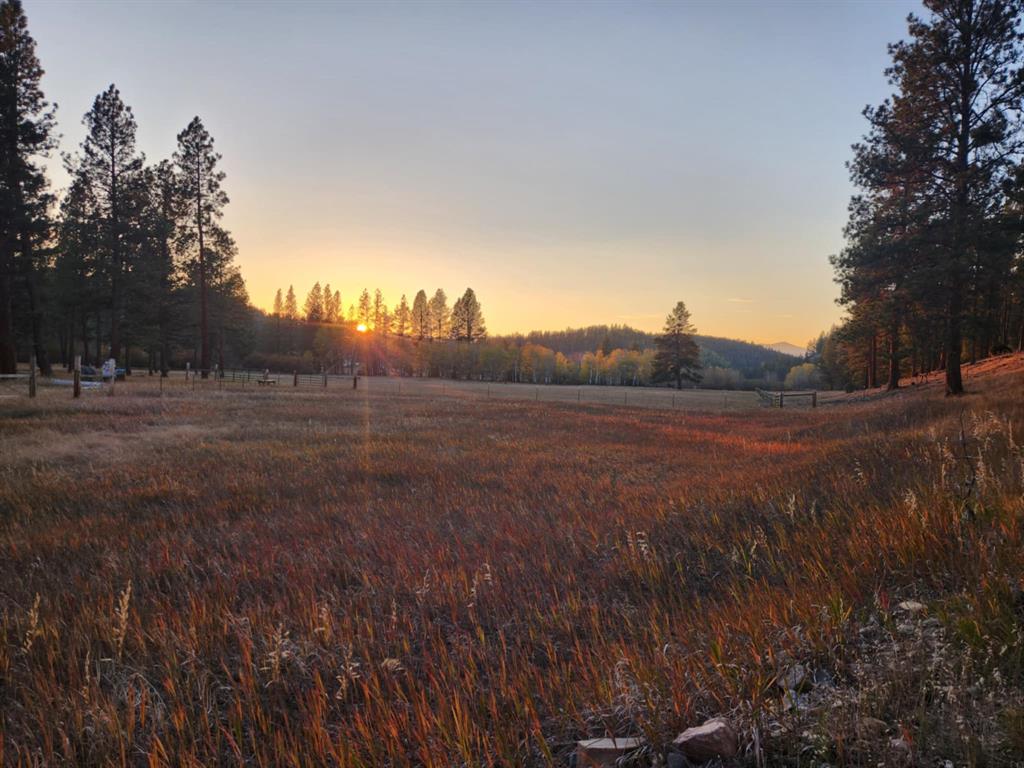 35322 Washoe Road Property Photo 48