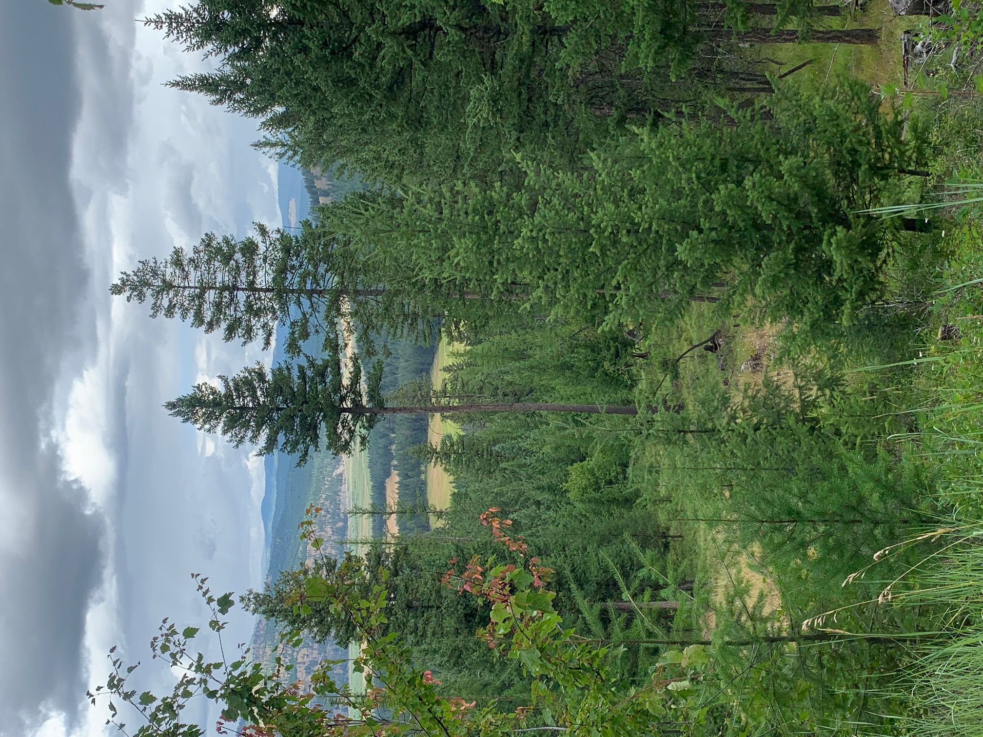 Tract 11 Whitetail Ridge Property Photo 1