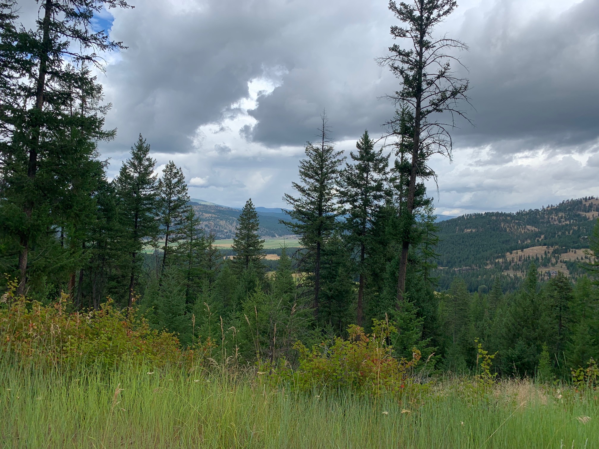 Tract 11 Whitetail Ridge Property Photo 4