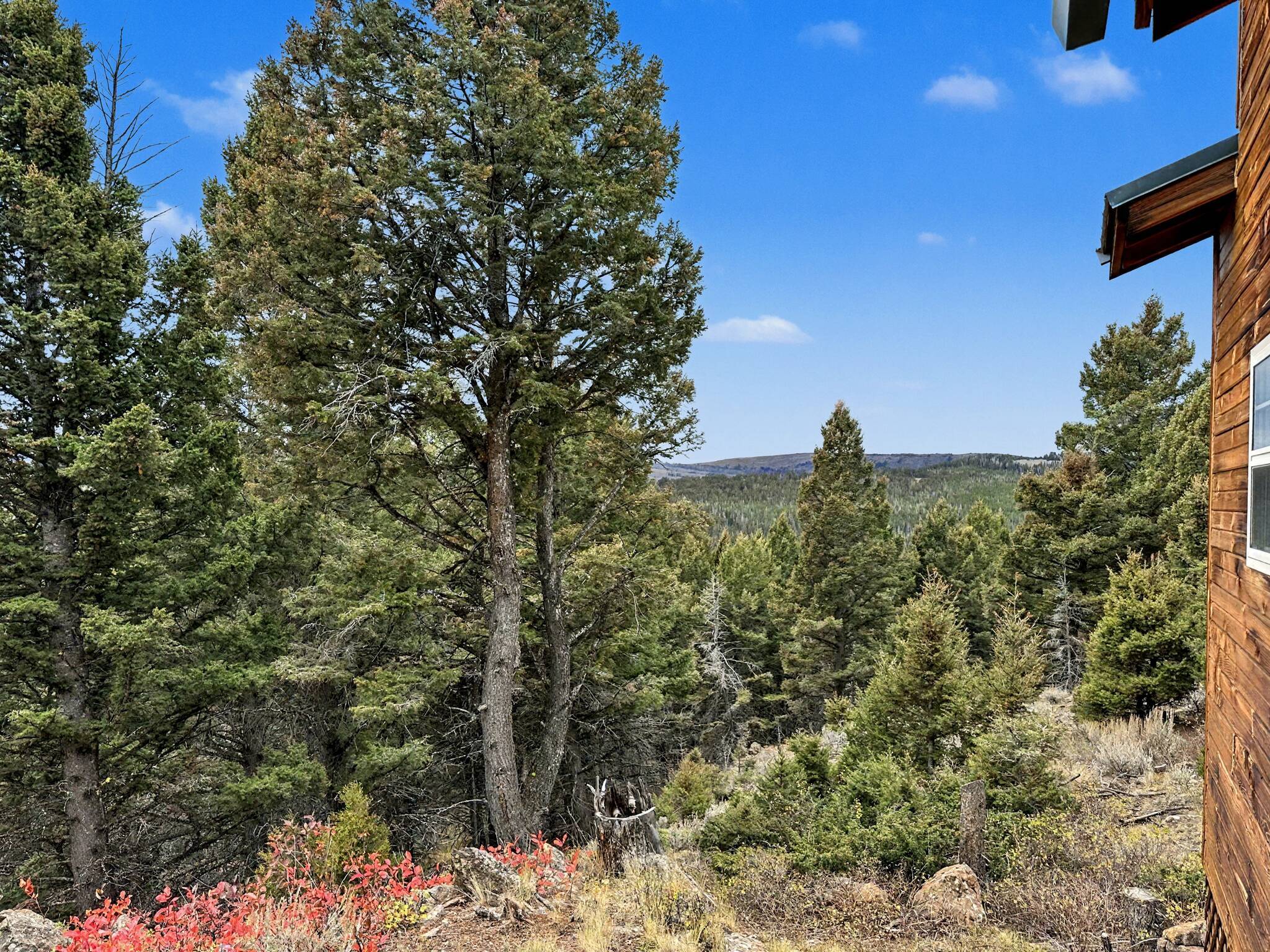 30 Bunks Trail Property Photo 3