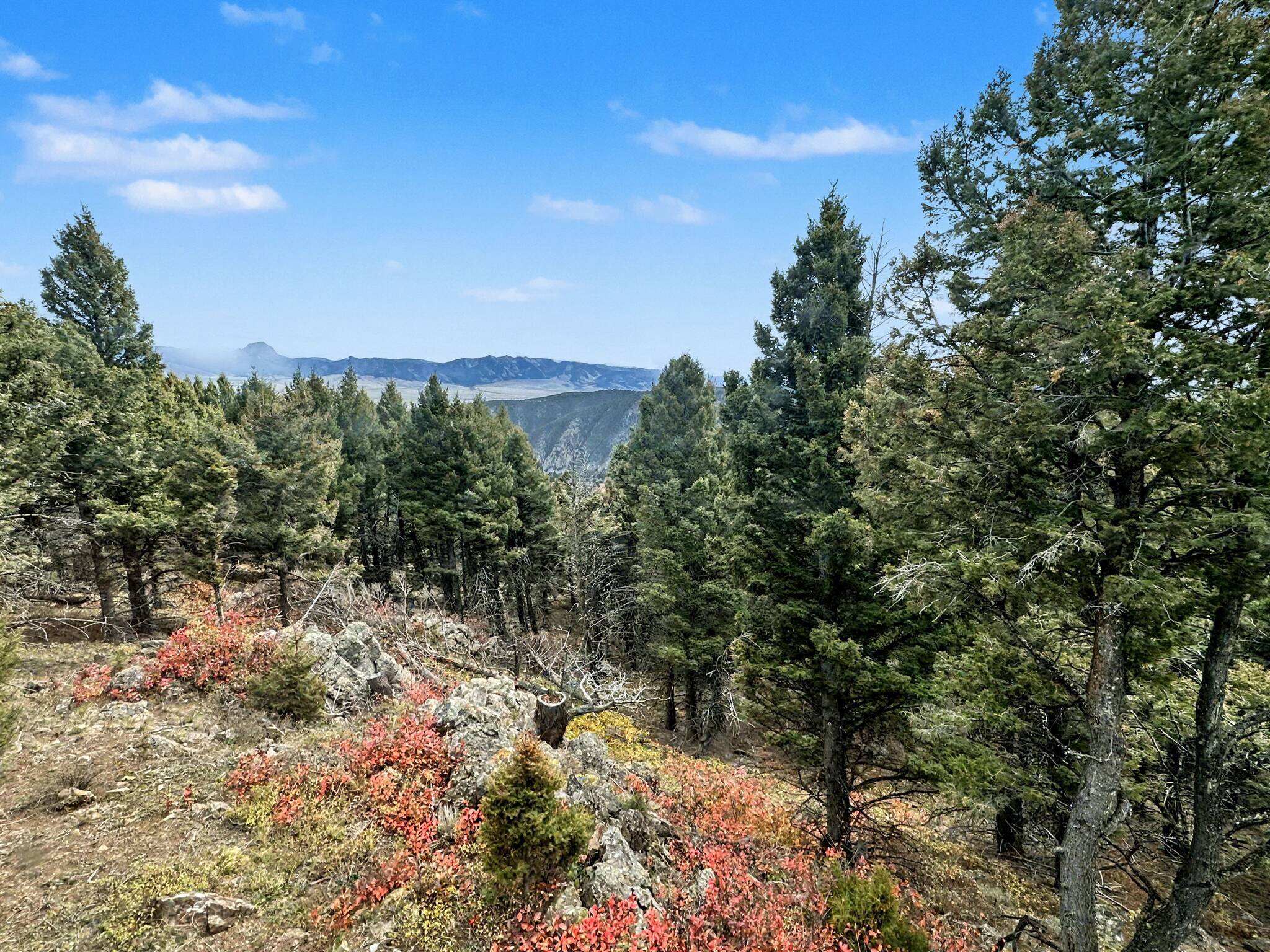 30 Bunks Trail Property Photo 18
