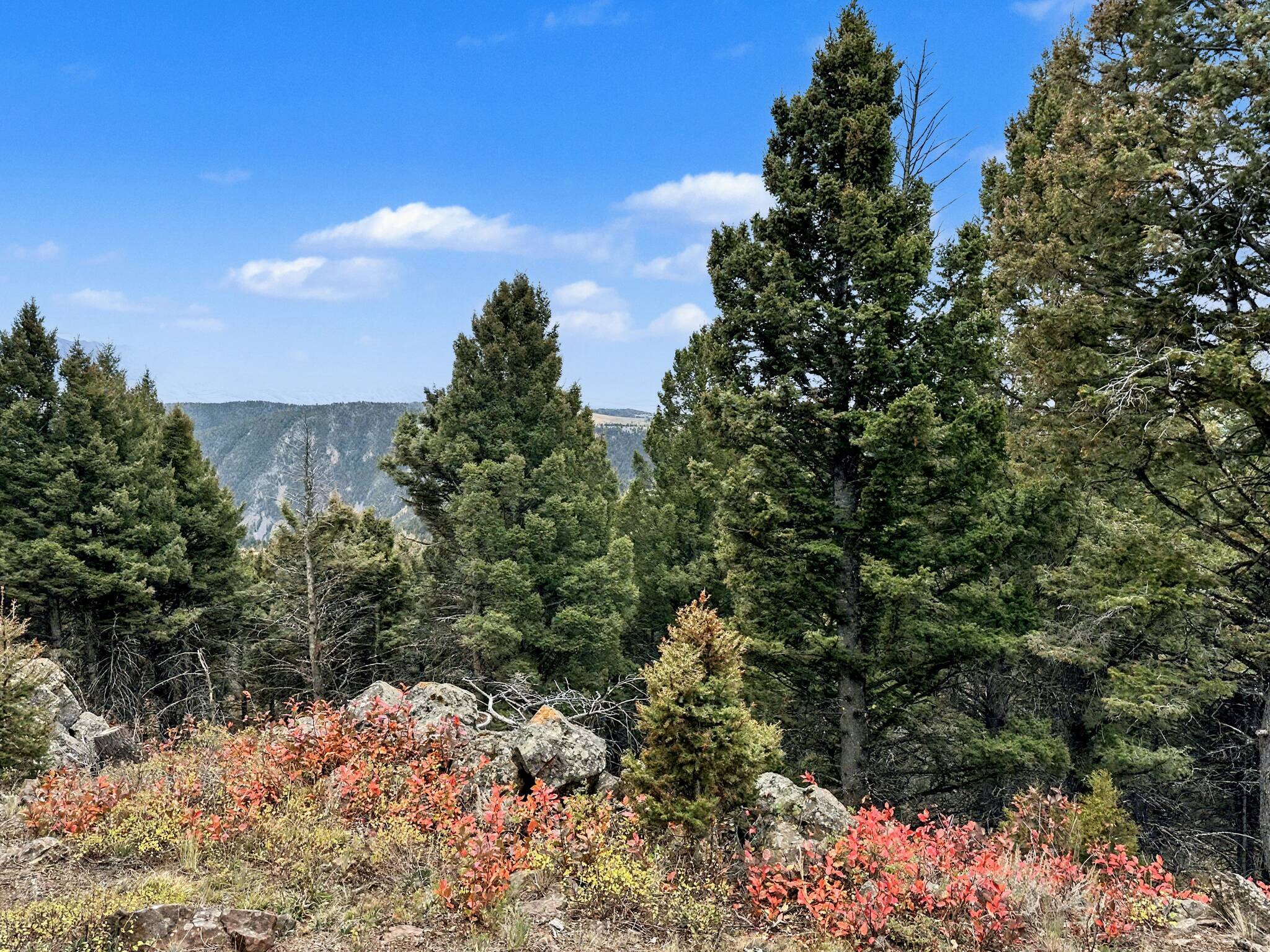 30 Bunks Trail Property Photo 19