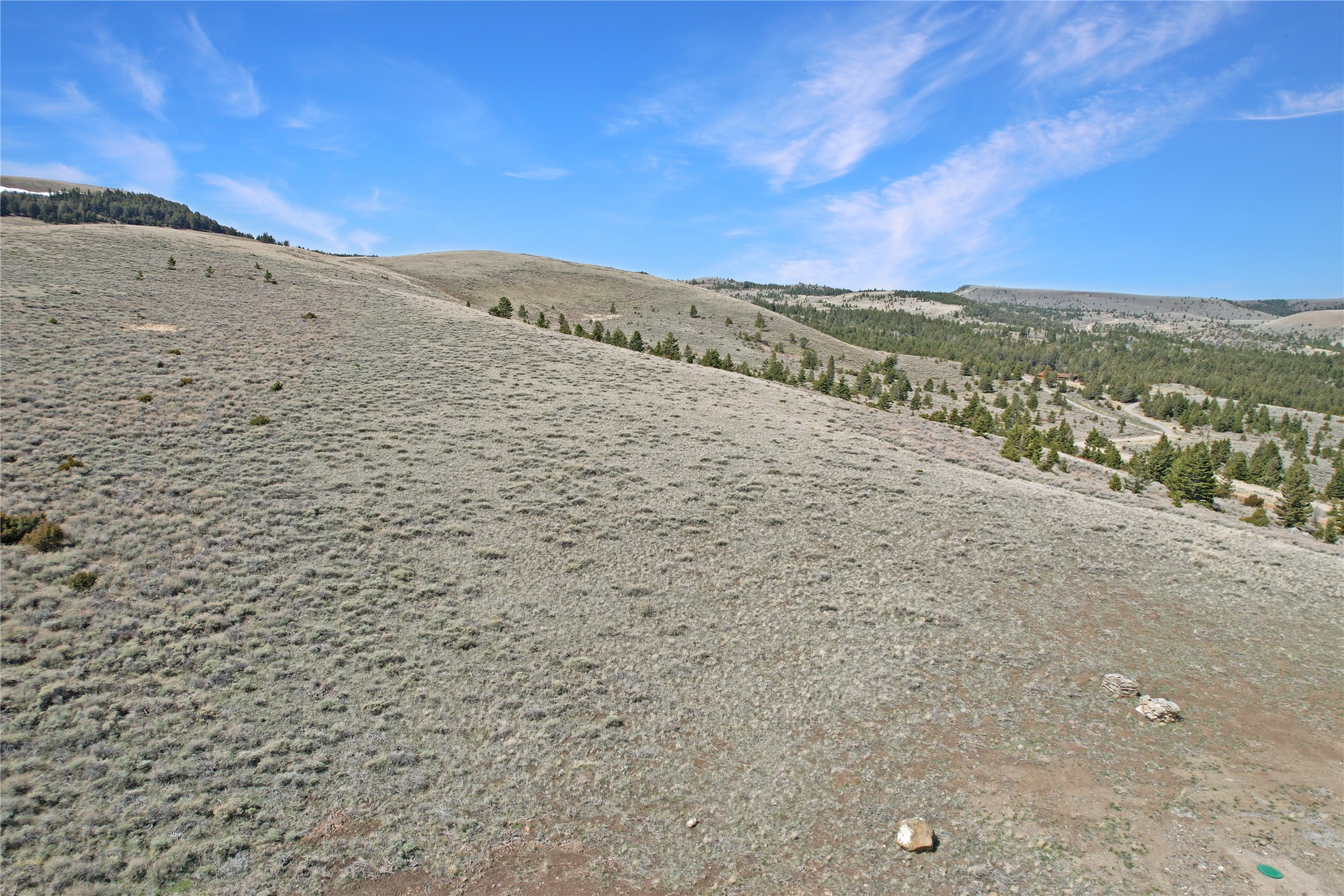 231 Axolotl Lakes Trail Property Photo 41