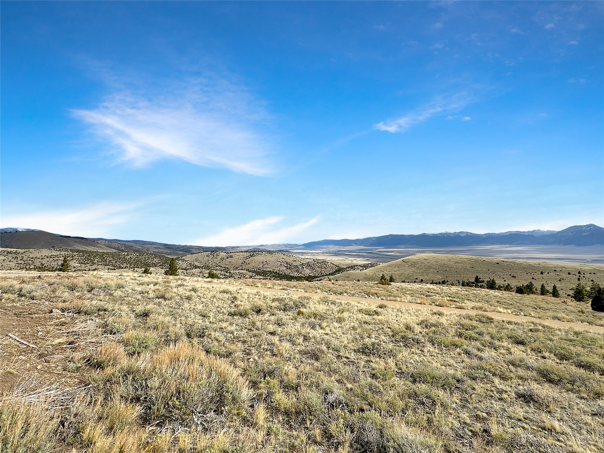 231 Axolotl Lakes Trail Property Photo 43