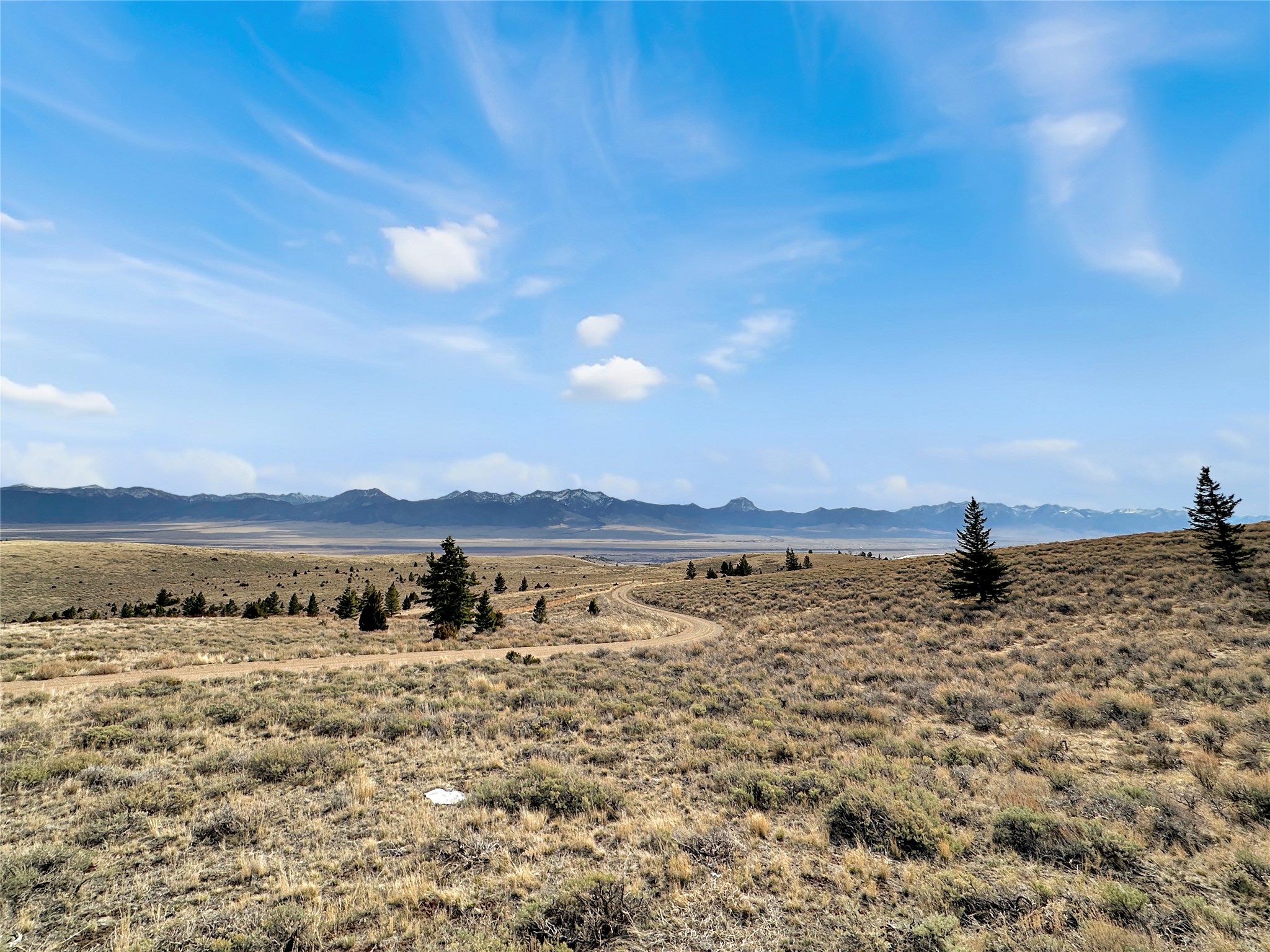231 Axolotl Lakes Trail Property Photo 44