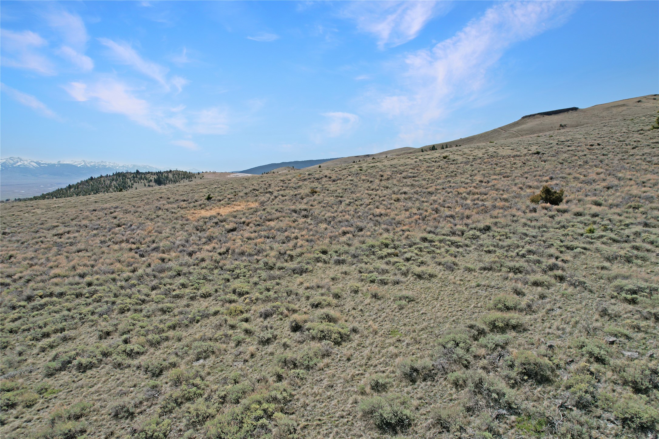 231 Axolotl Lakes Trail Property Photo 45