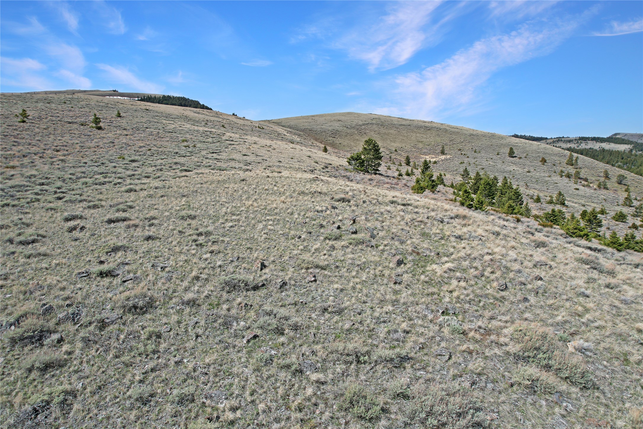 231 Axolotl Lakes Trail Property Photo 46
