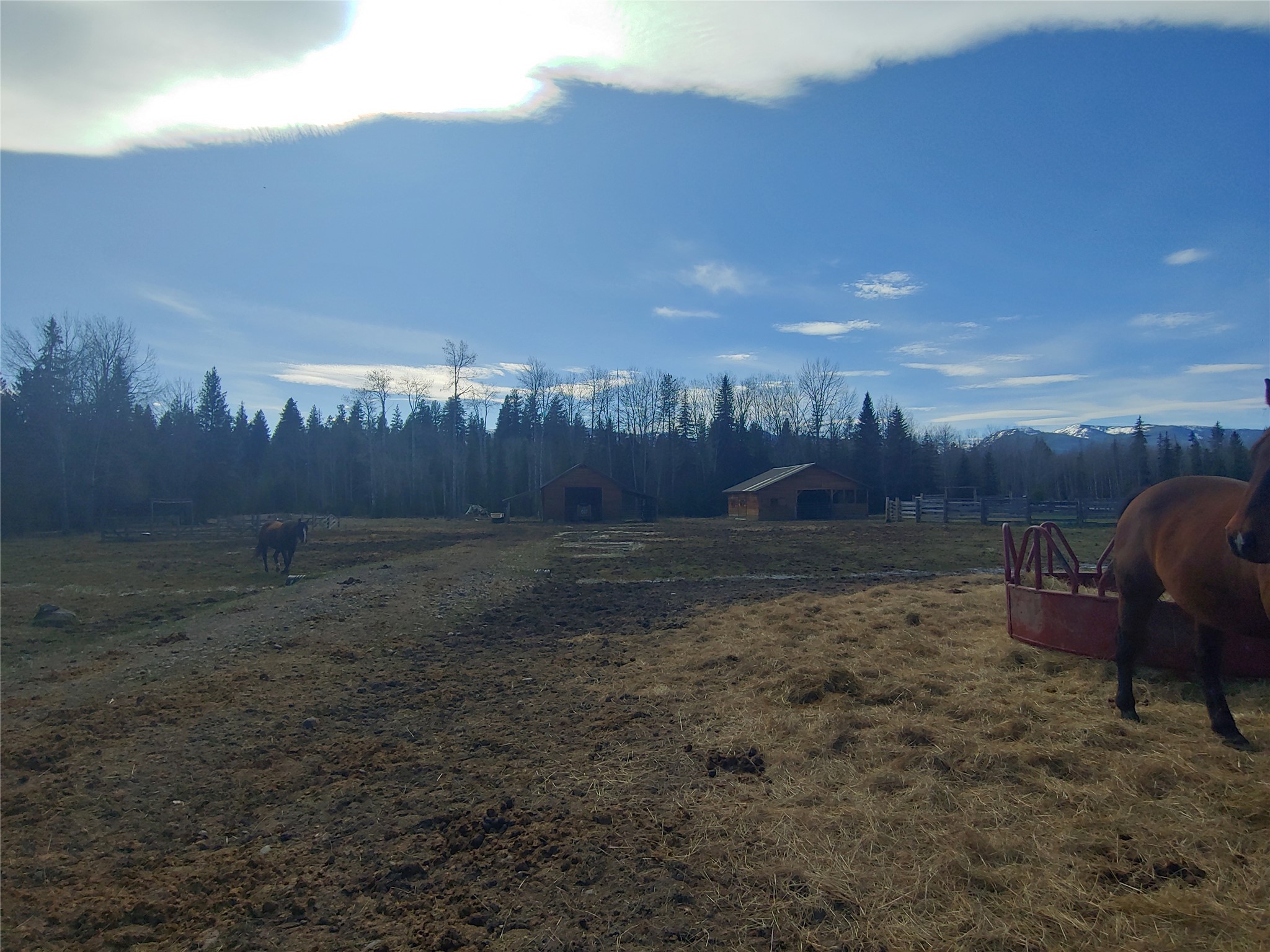 30068169 Property Photo 10