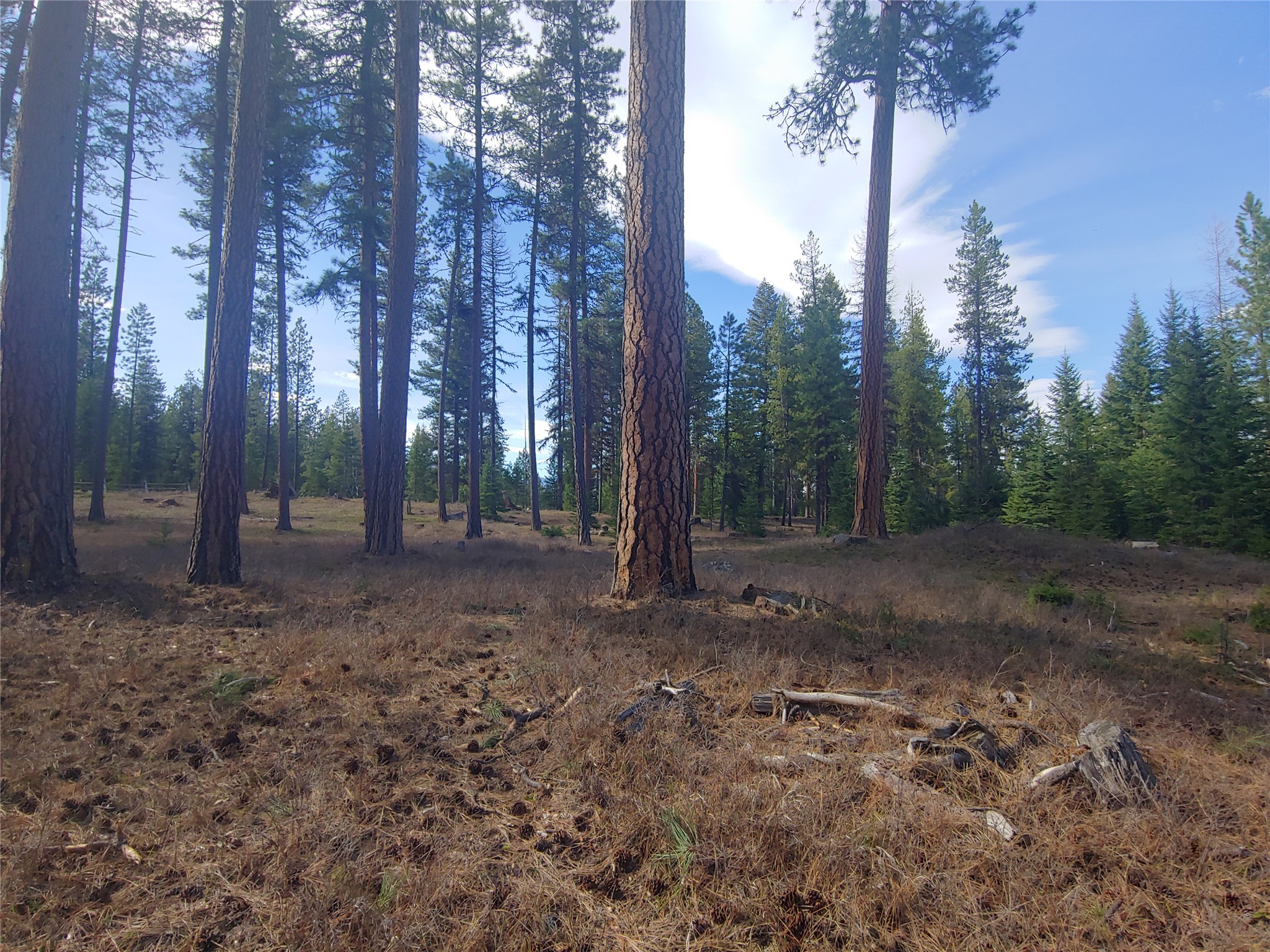 30068169 Property Photo 23