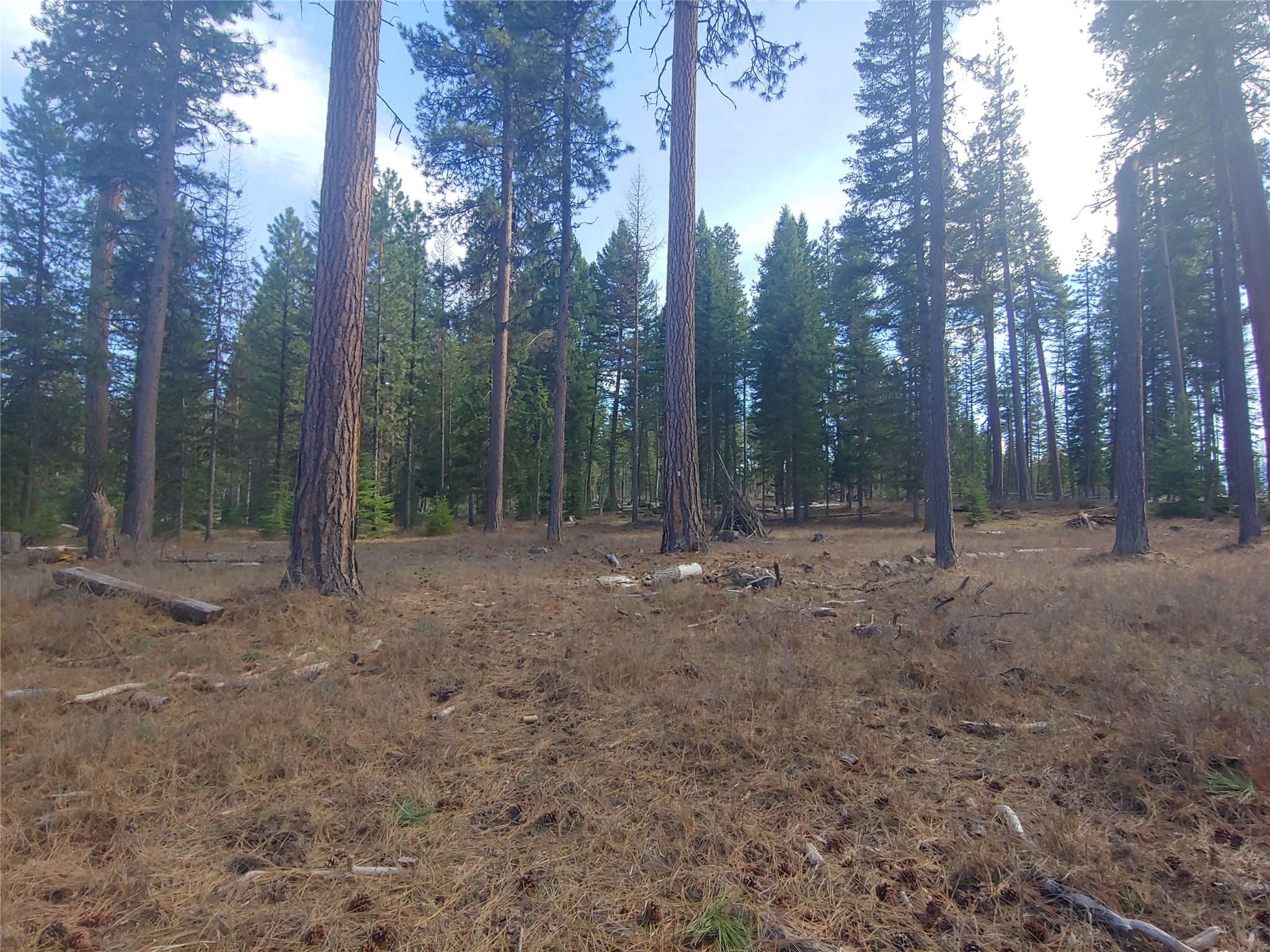 30068169 Property Photo 24
