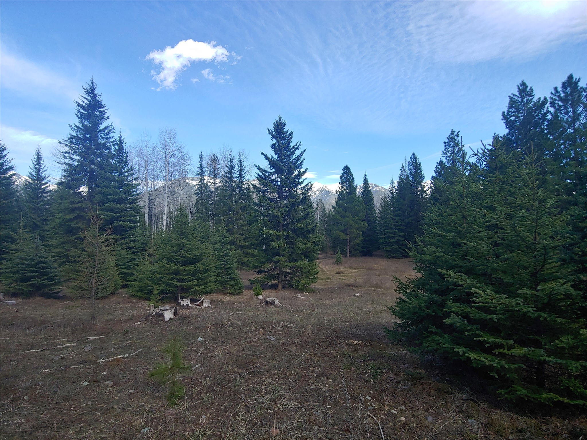 30068169 Property Photo 26