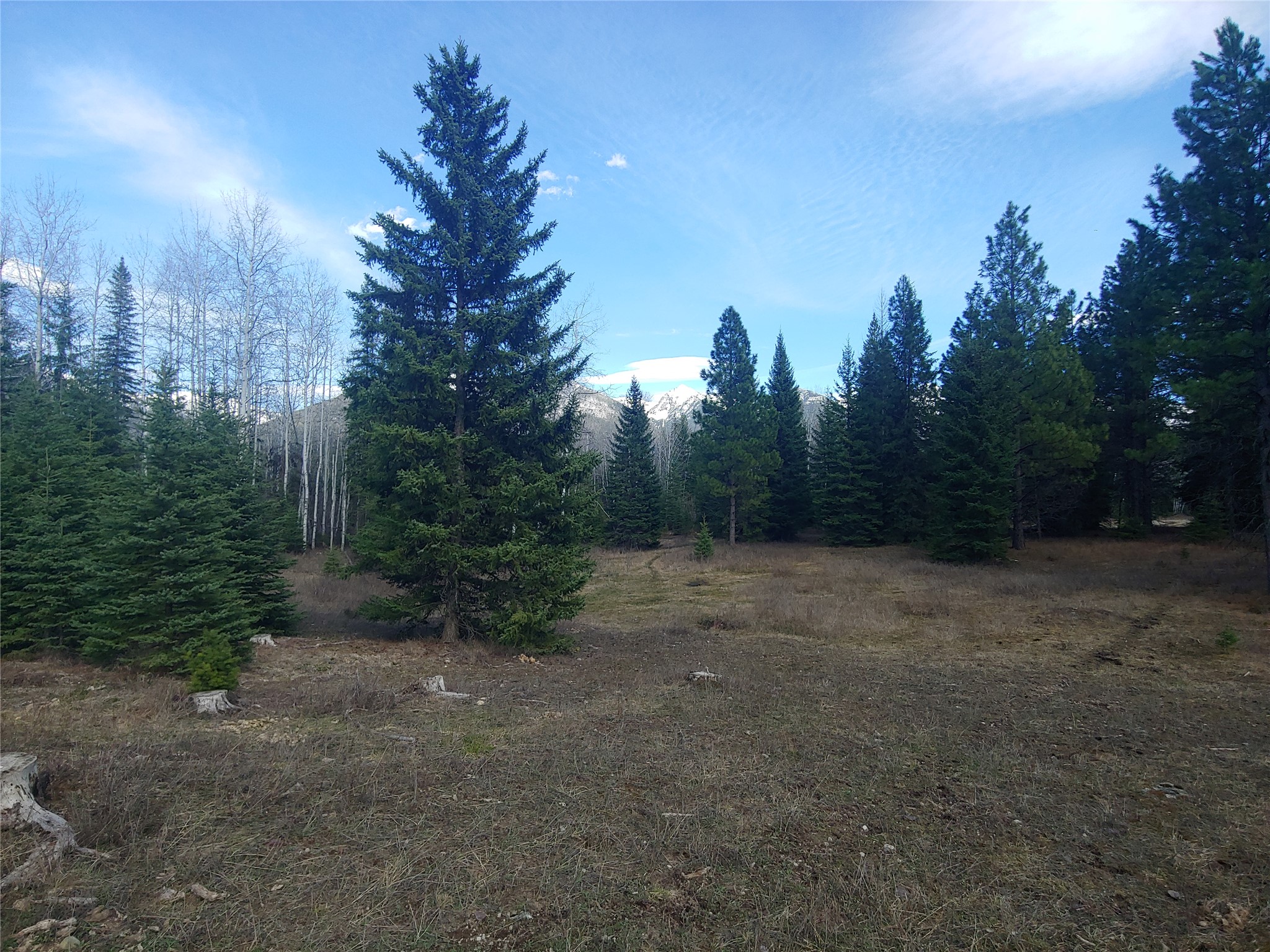30068169 Property Photo 31