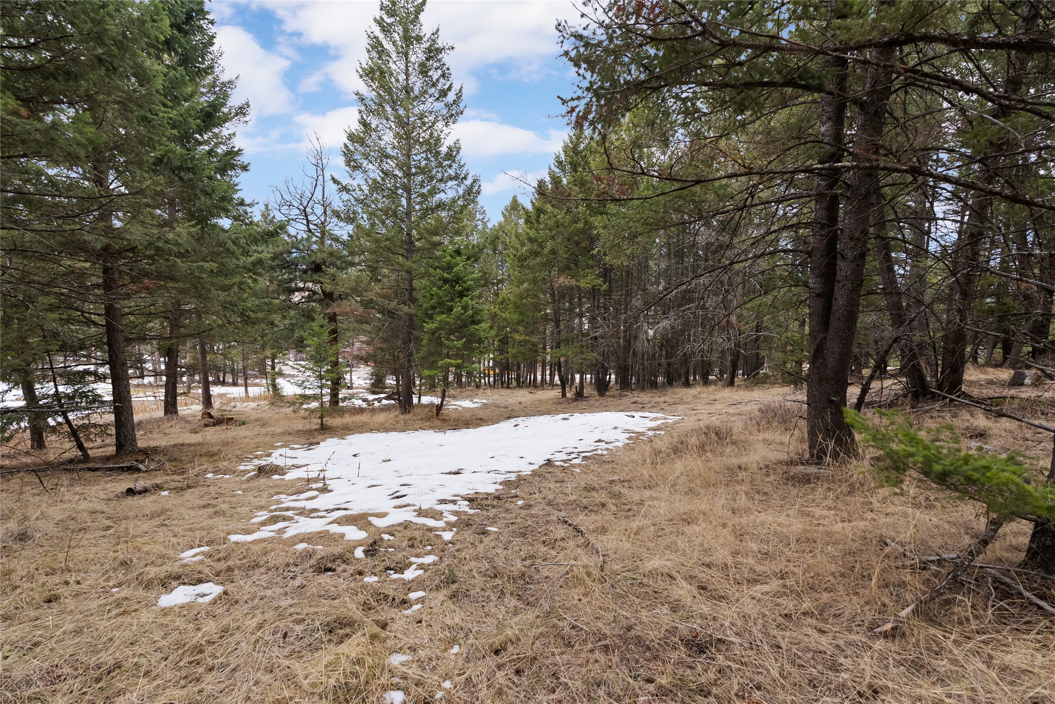 200 Walking Coyote Drive Property Photo 6