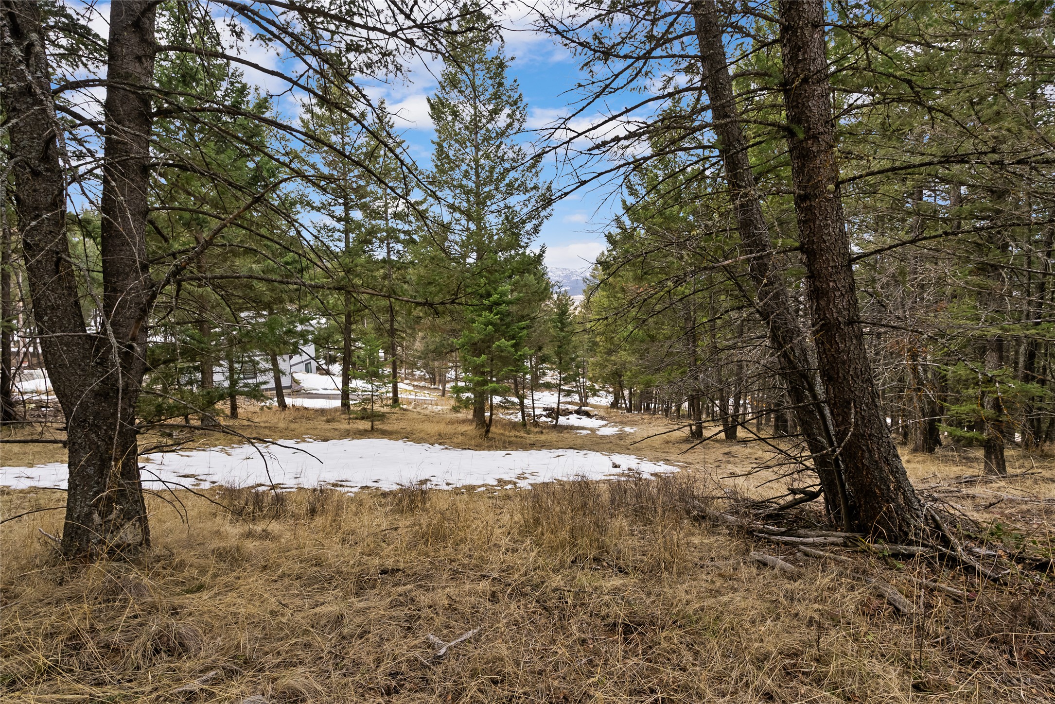 200 Walking Coyote Drive Property Photo 7