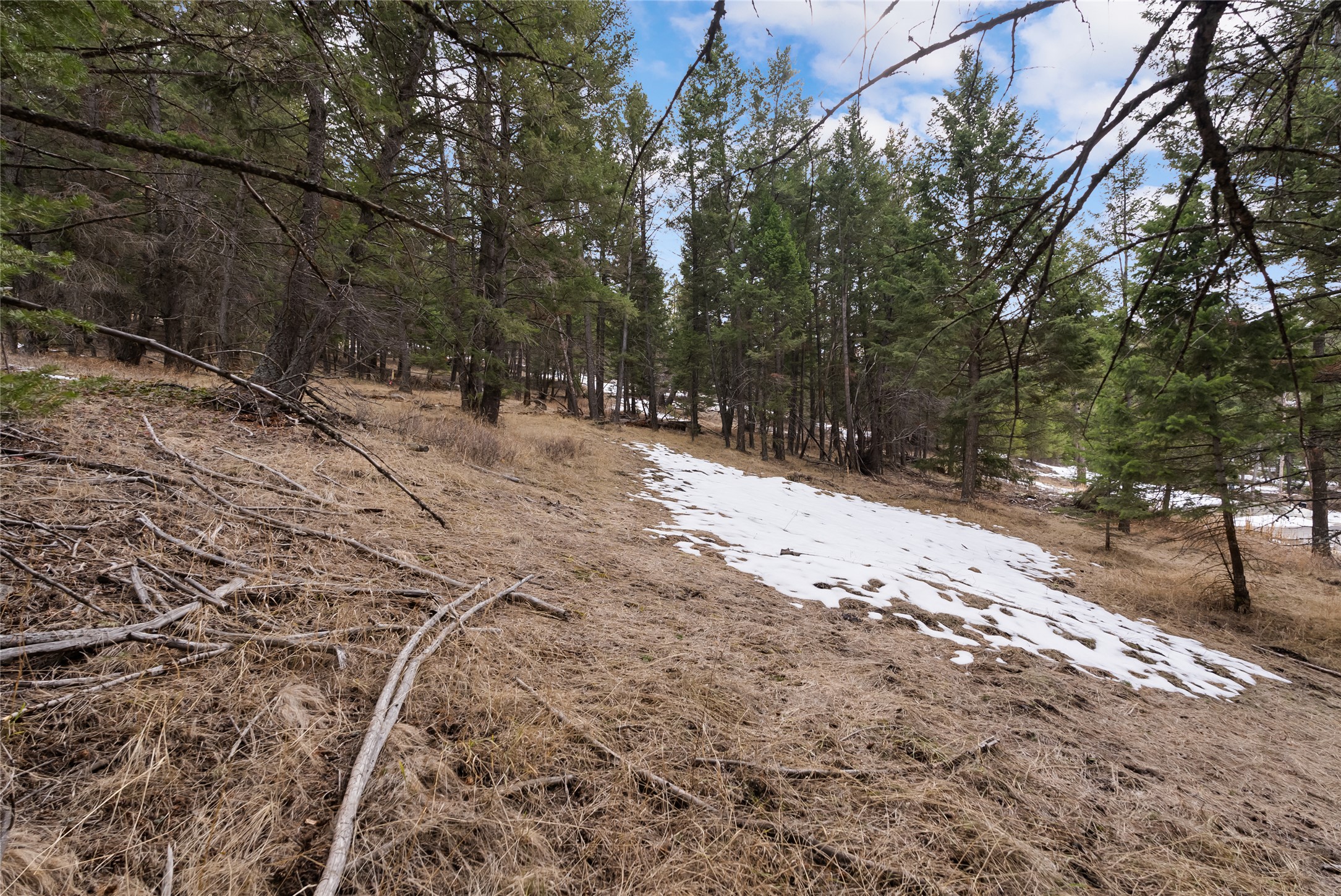200 Walking Coyote Drive Property Photo 8