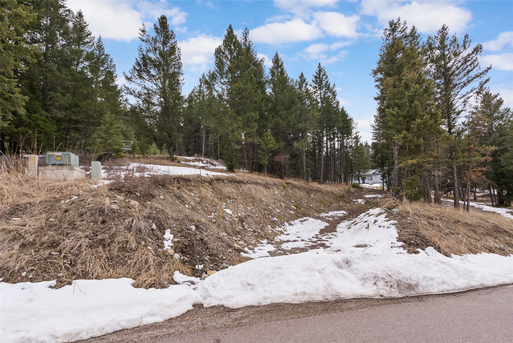 200 Walking Coyote Drive Property Photo 9