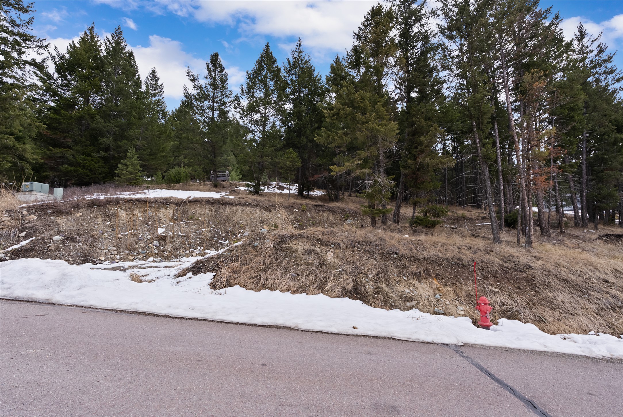200 Walking Coyote Drive Property Photo 11