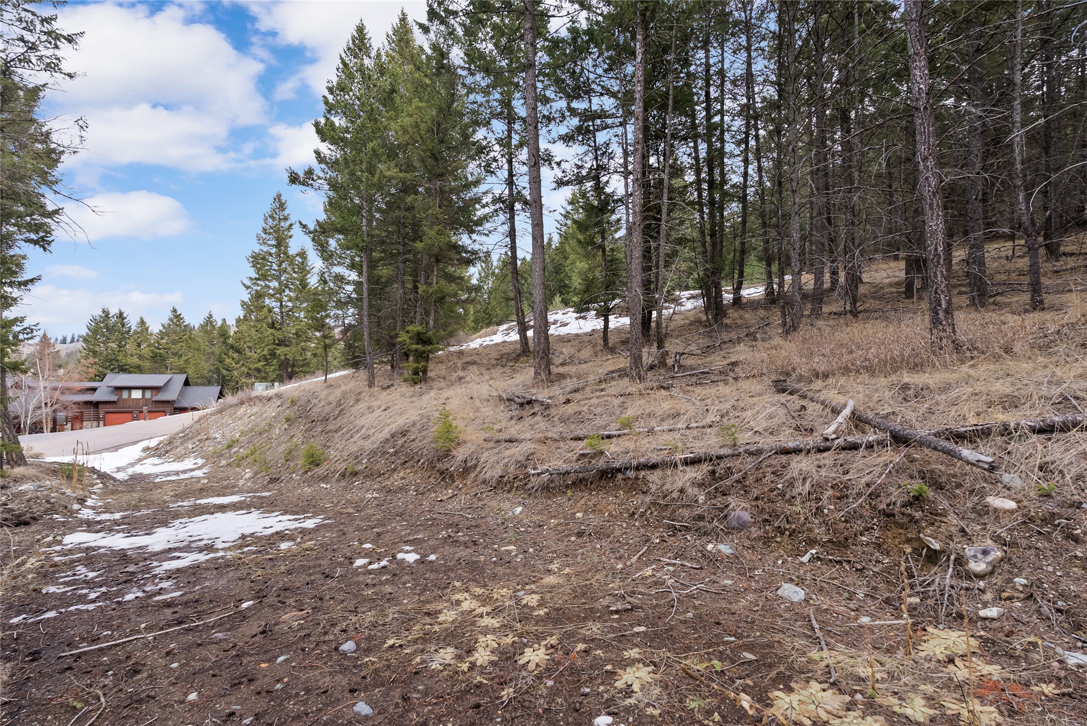 200 Walking Coyote Drive Property Photo 12