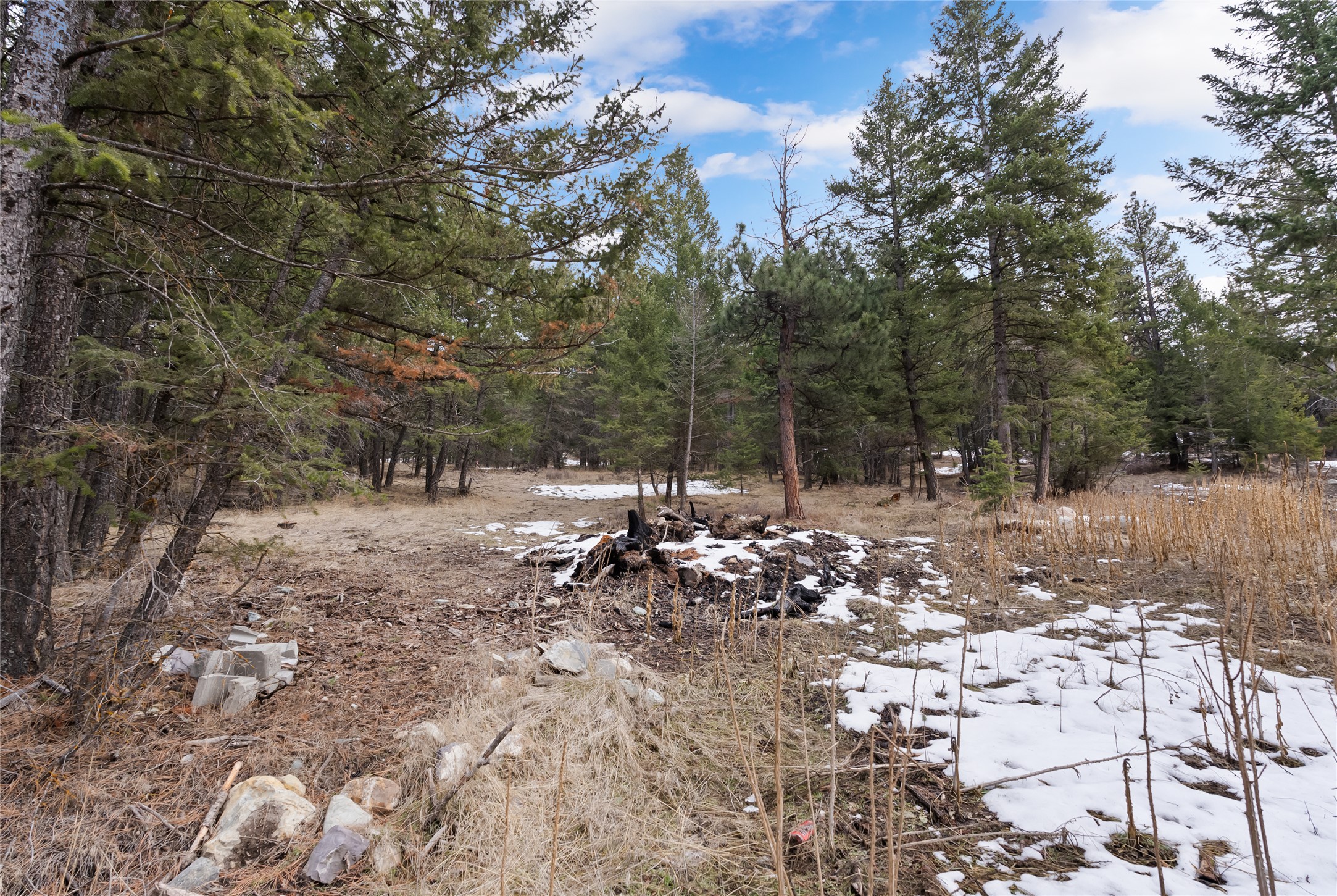 200 Walking Coyote Drive Property Photo 13