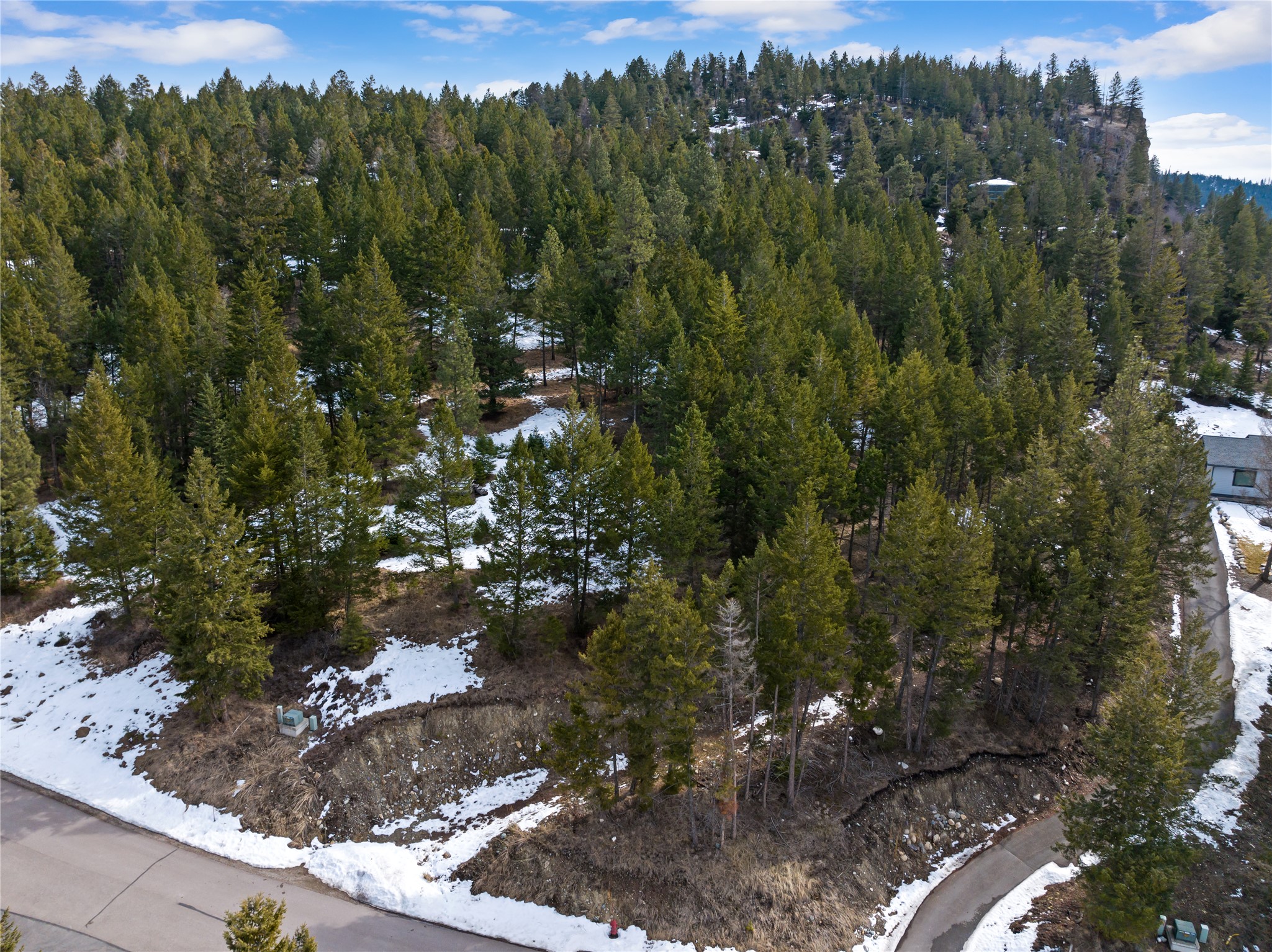200 Walking Coyote Drive Property Photo 16