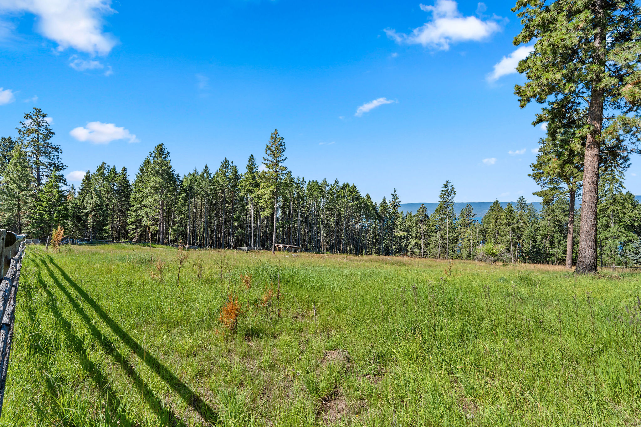 33676 Hilltop Terrace Property Photo 48